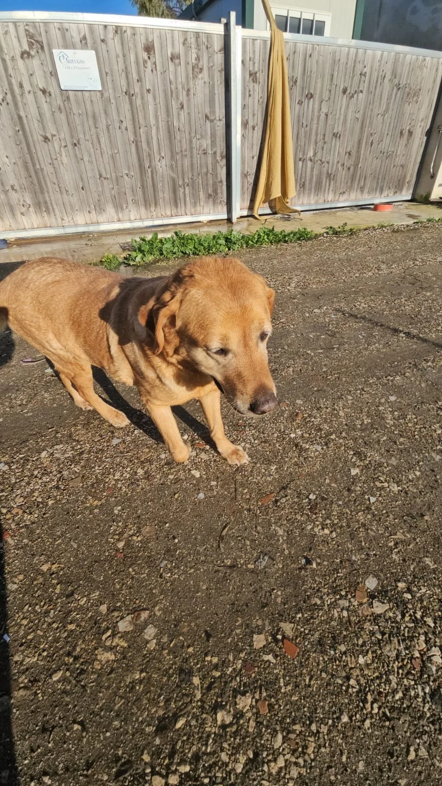 PHOTO-2026-02-03-11-53-51 5.jpg