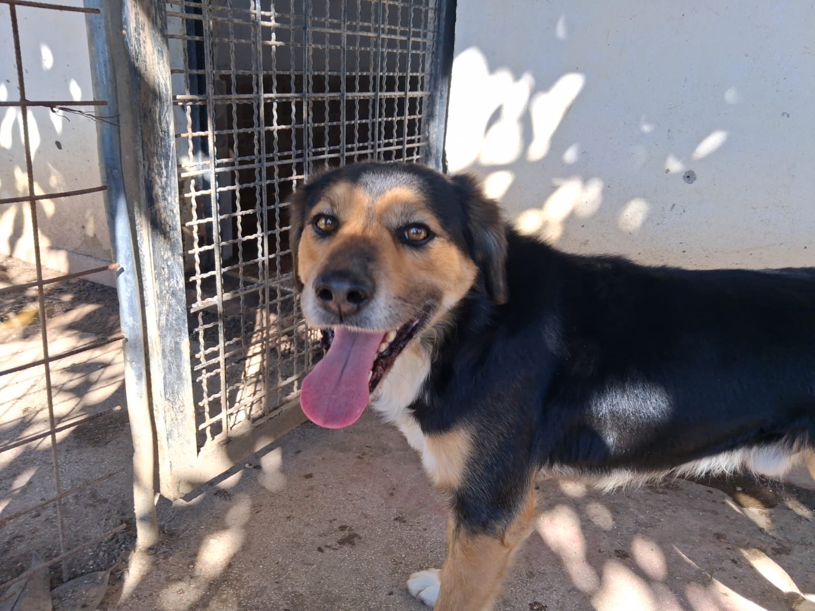 WhatsApp Image 2026-03-19 at 09.53.01.jpeg