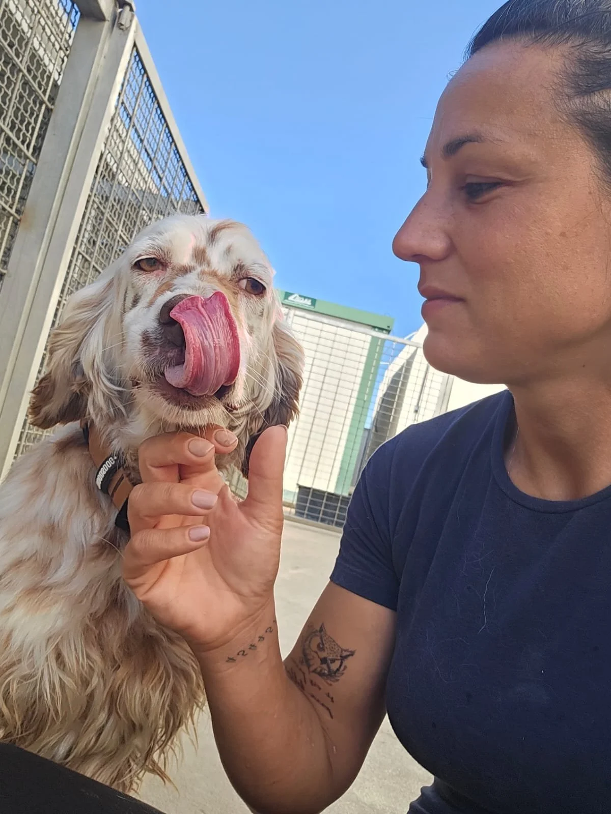 PHOTO-2026-04-27-18-32-11 3.jpg