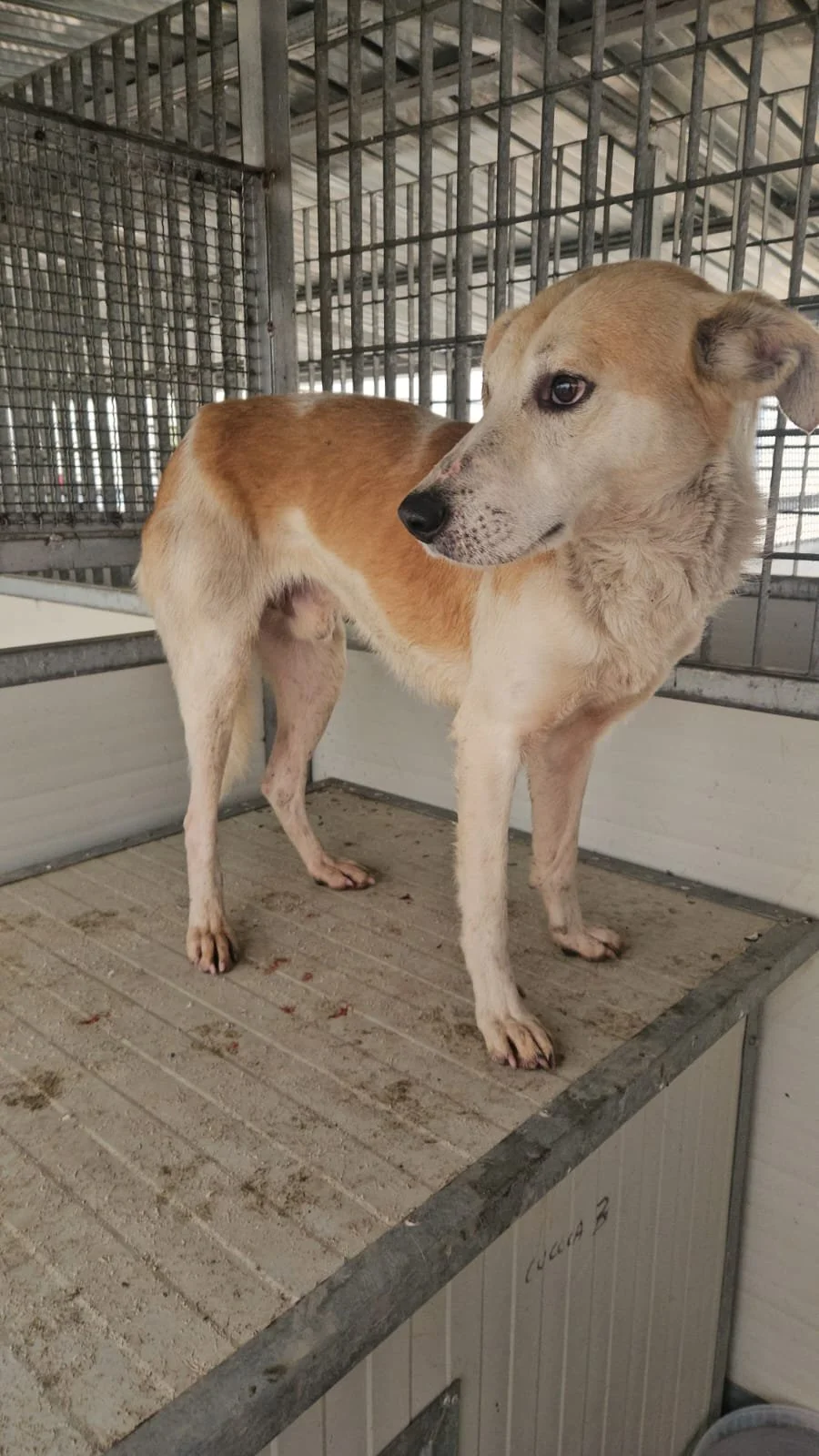 PHOTO-2026-01-22-10-13-42 4.jpg