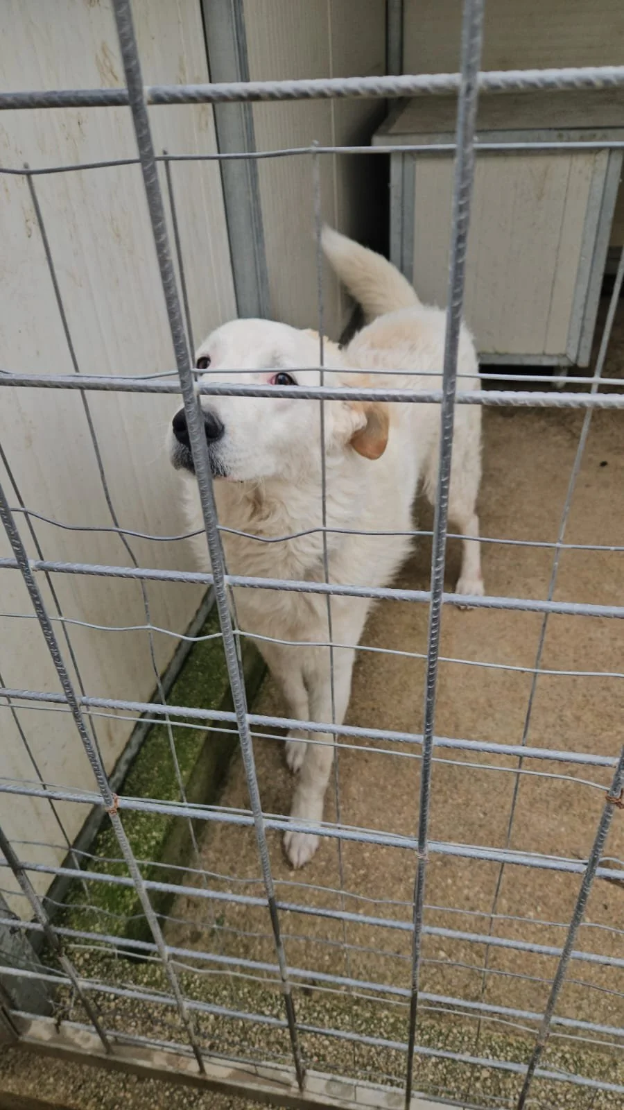 PHOTO-2026-01-07-15-24-14 7.jpg