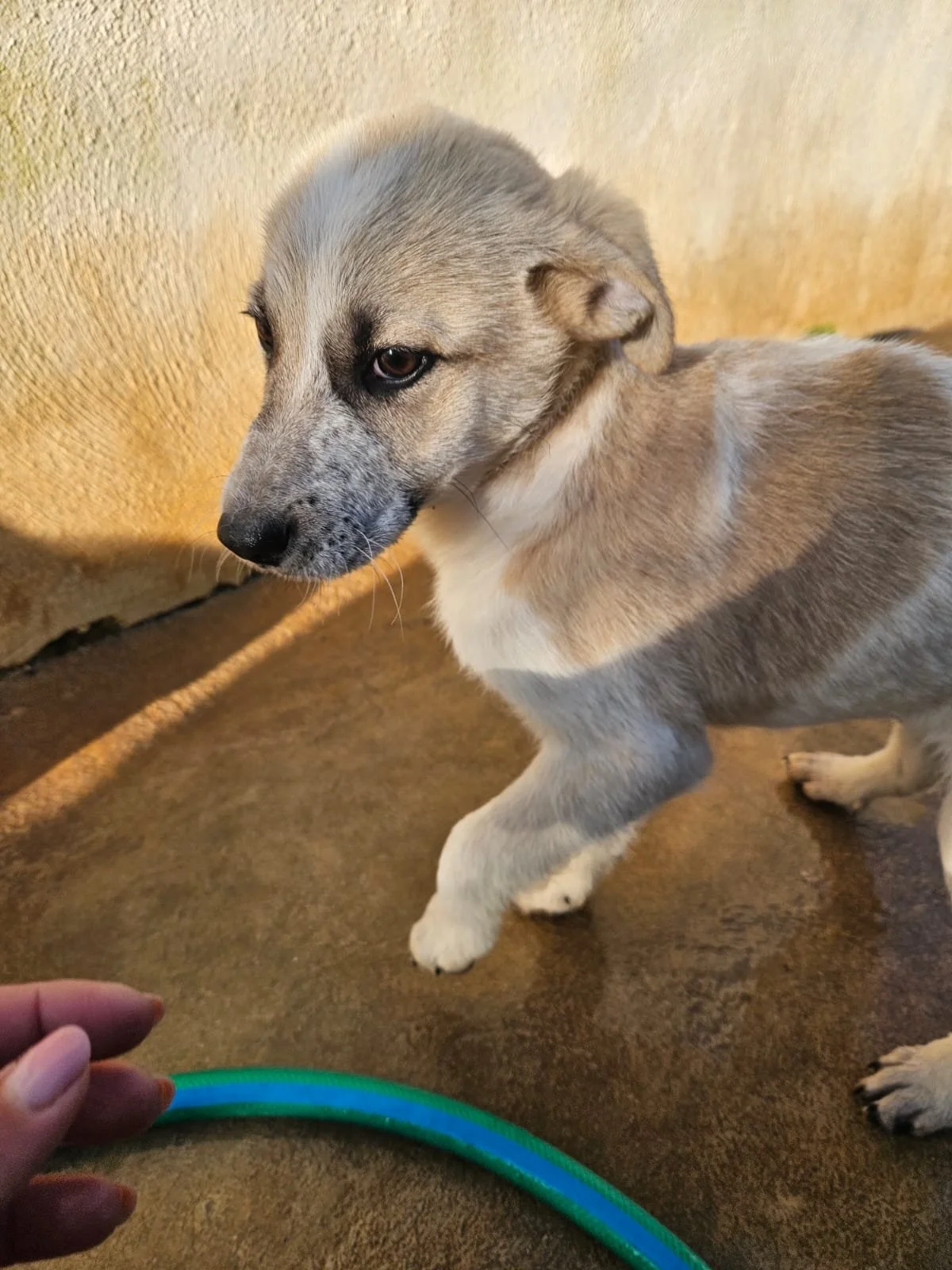 PHOTO-2026-02-02-08-56-48 4.jpg