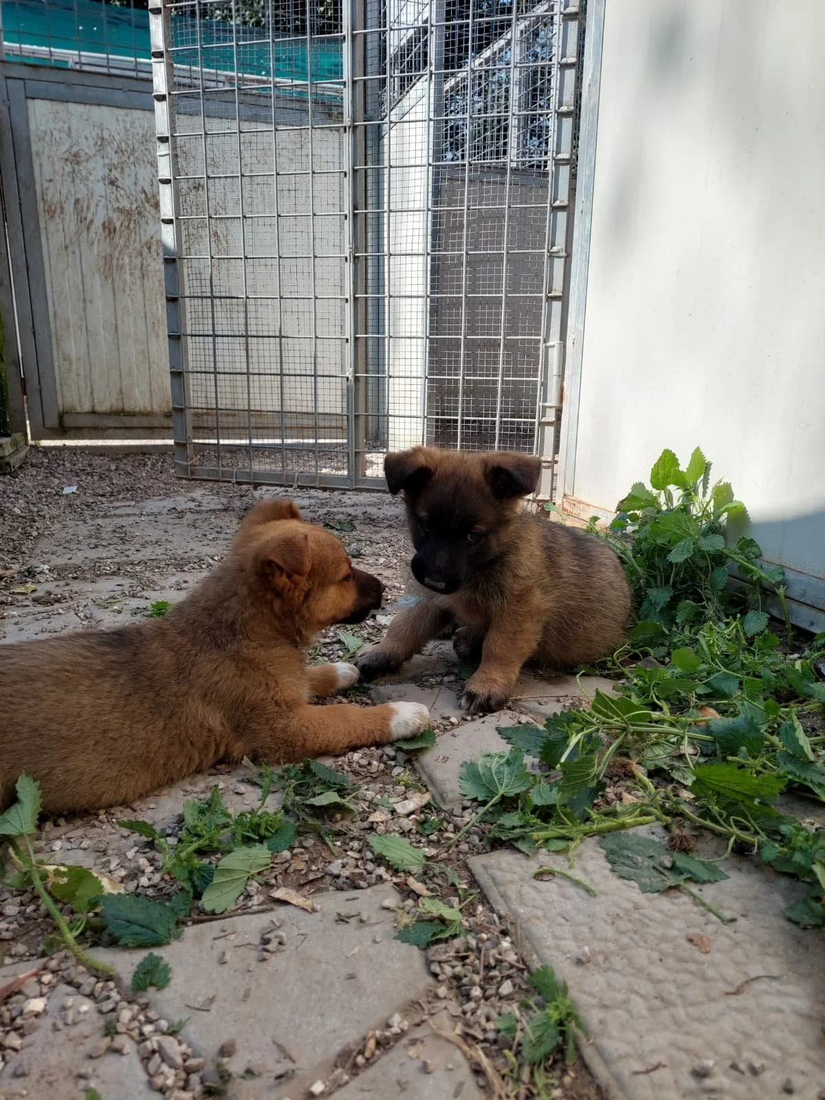 PHOTO-2026-03-11-14-16-00 3.jpg