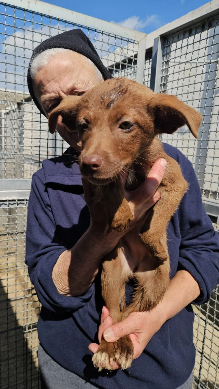 PHOTO-2026-03-20-12-50-00 6.jpg