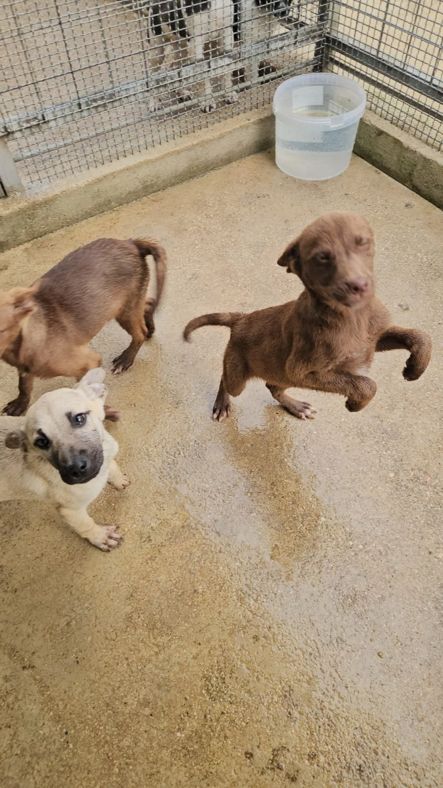 PHOTO-2026-04-09-09-43-30 2.jpg