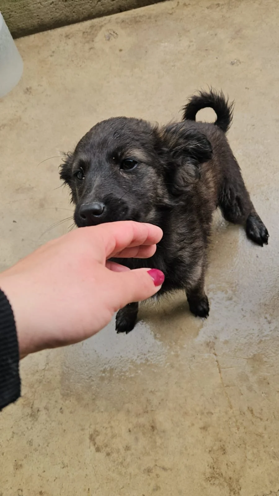 PHOTO-2026-04-09-09-39-26 2.jpg