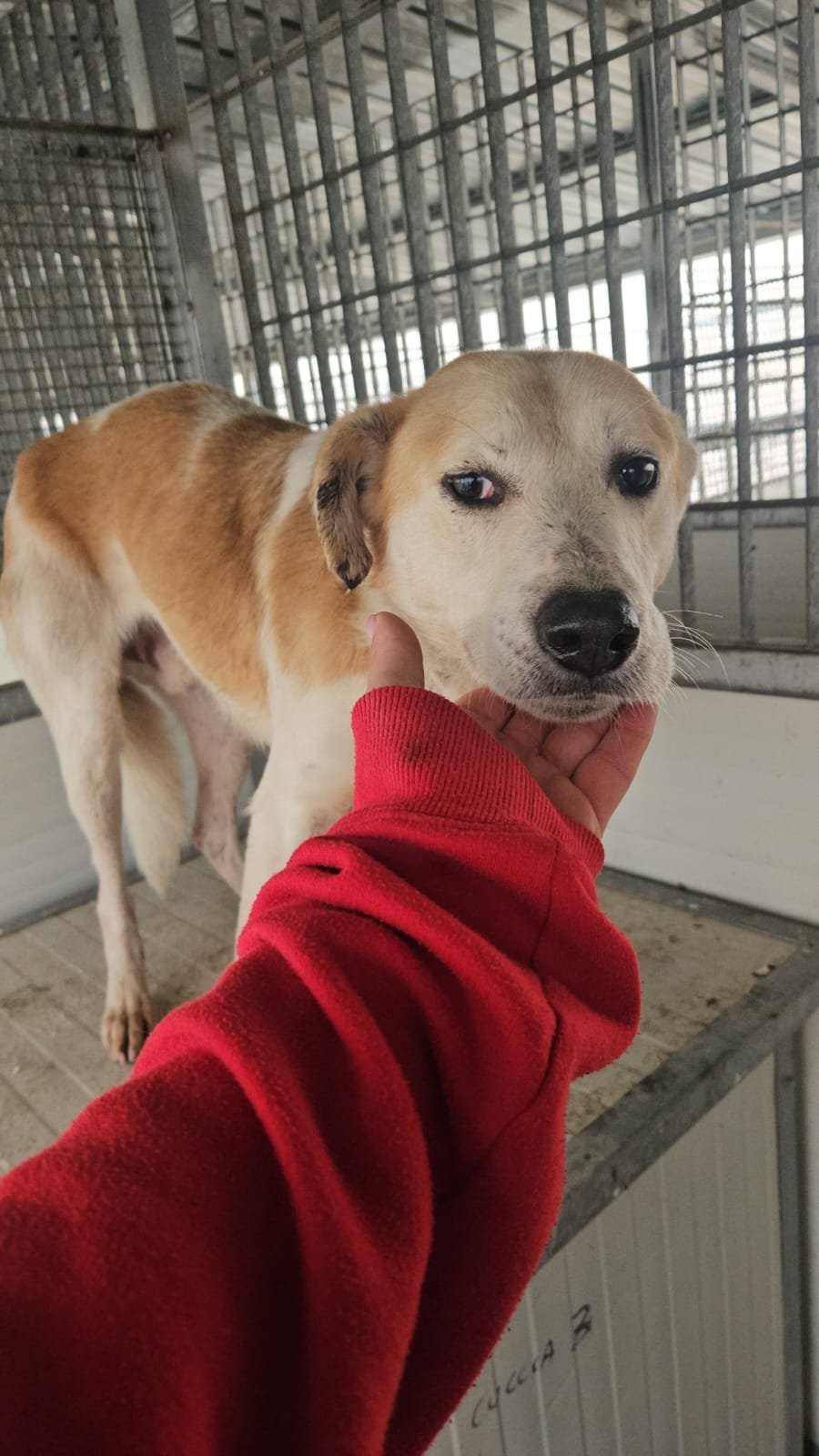 PHOTO-2026-01-22-10-13-43 2.jpg