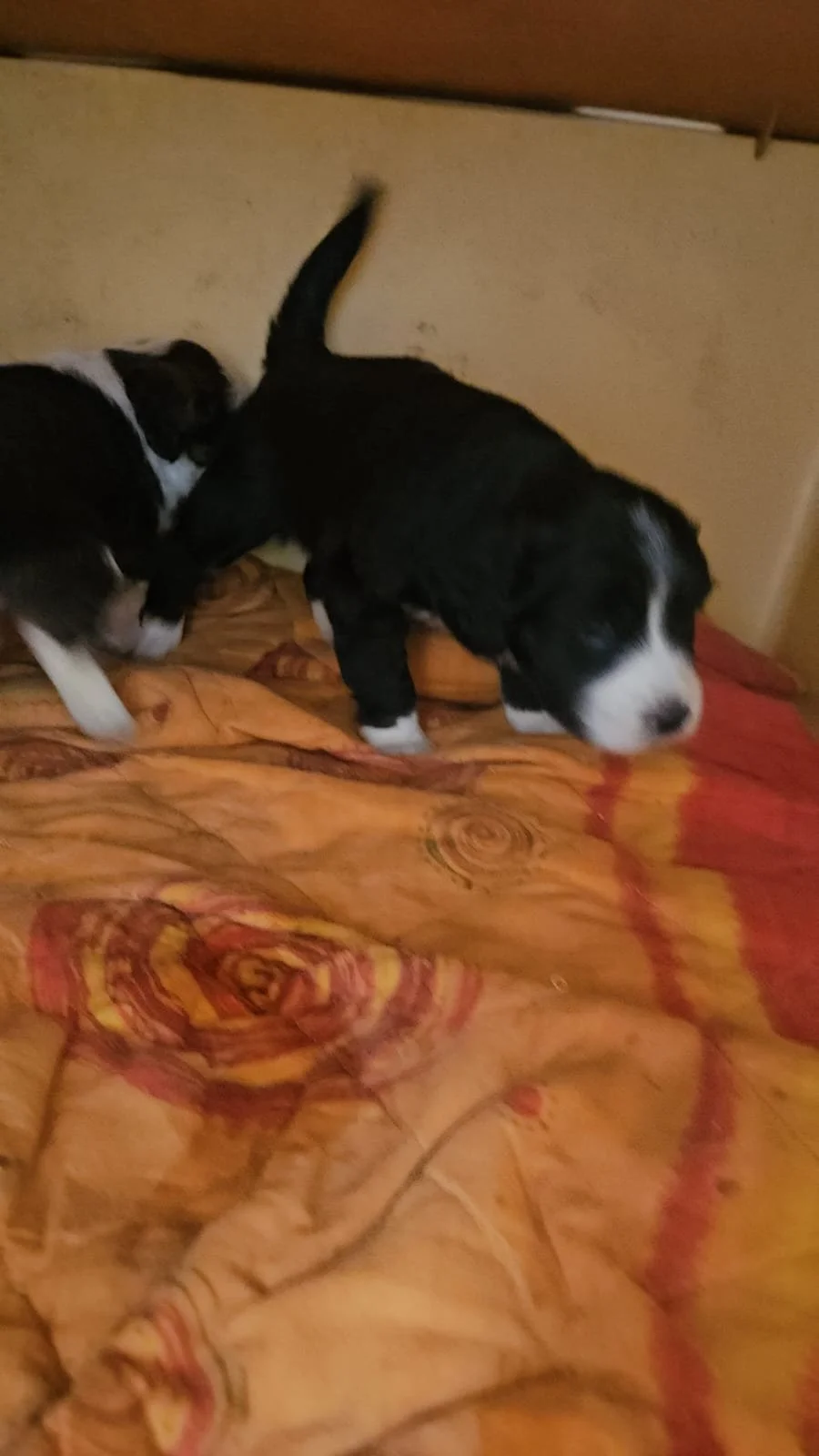 PHOTO-2026-04-27-20-54-27 3.jpg