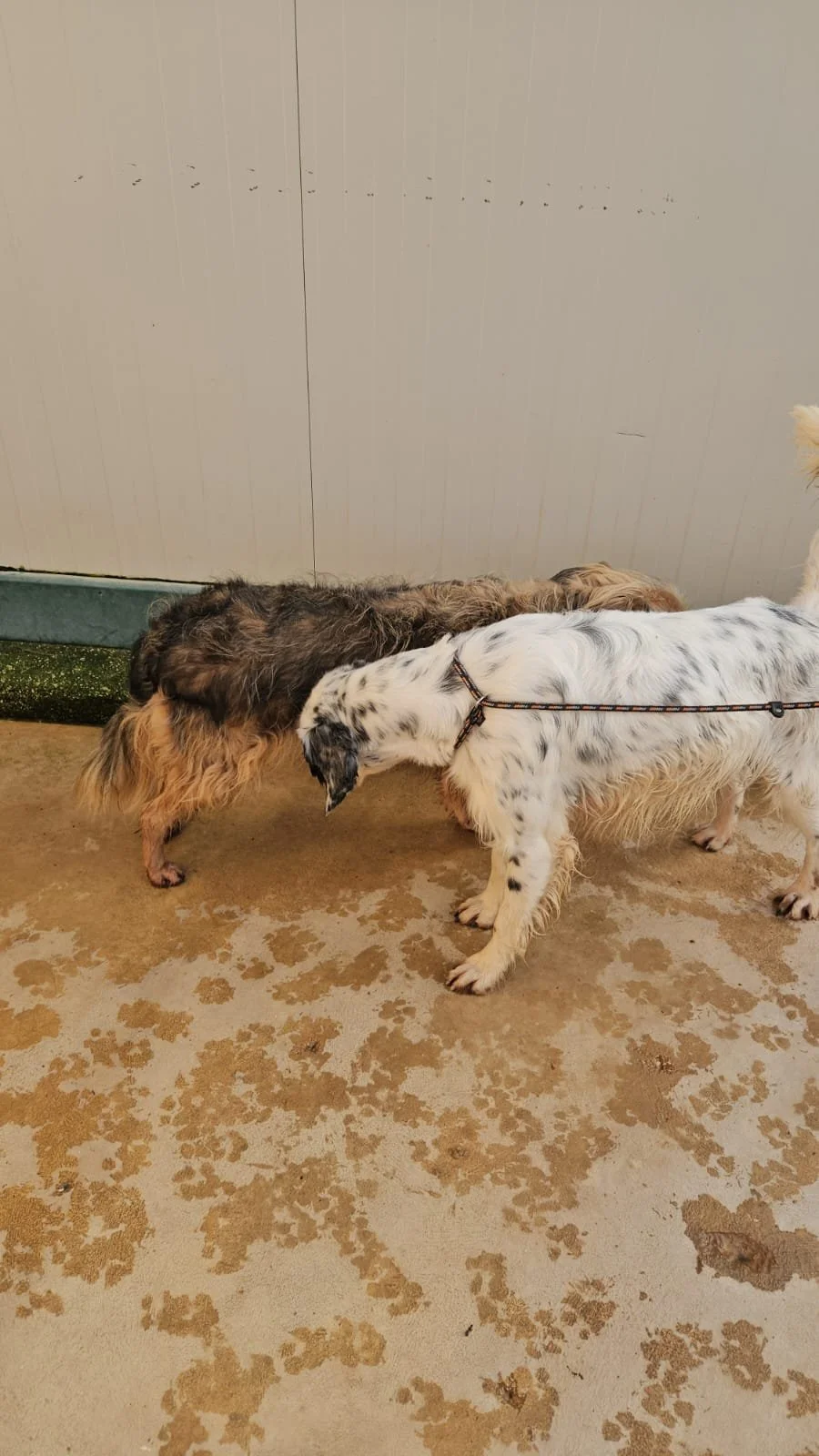 PHOTO-2025-12-15-14-01-21 3.jpg