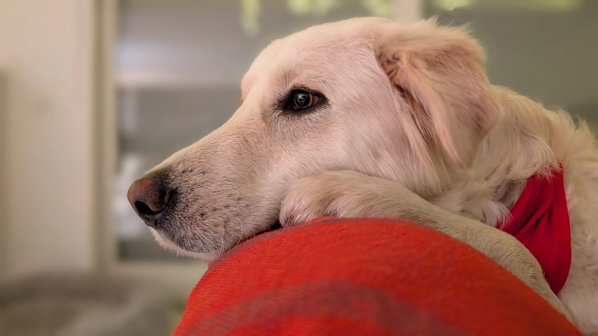 WhatsApp Image 2026-04-08 at 14.38.14.jpeg