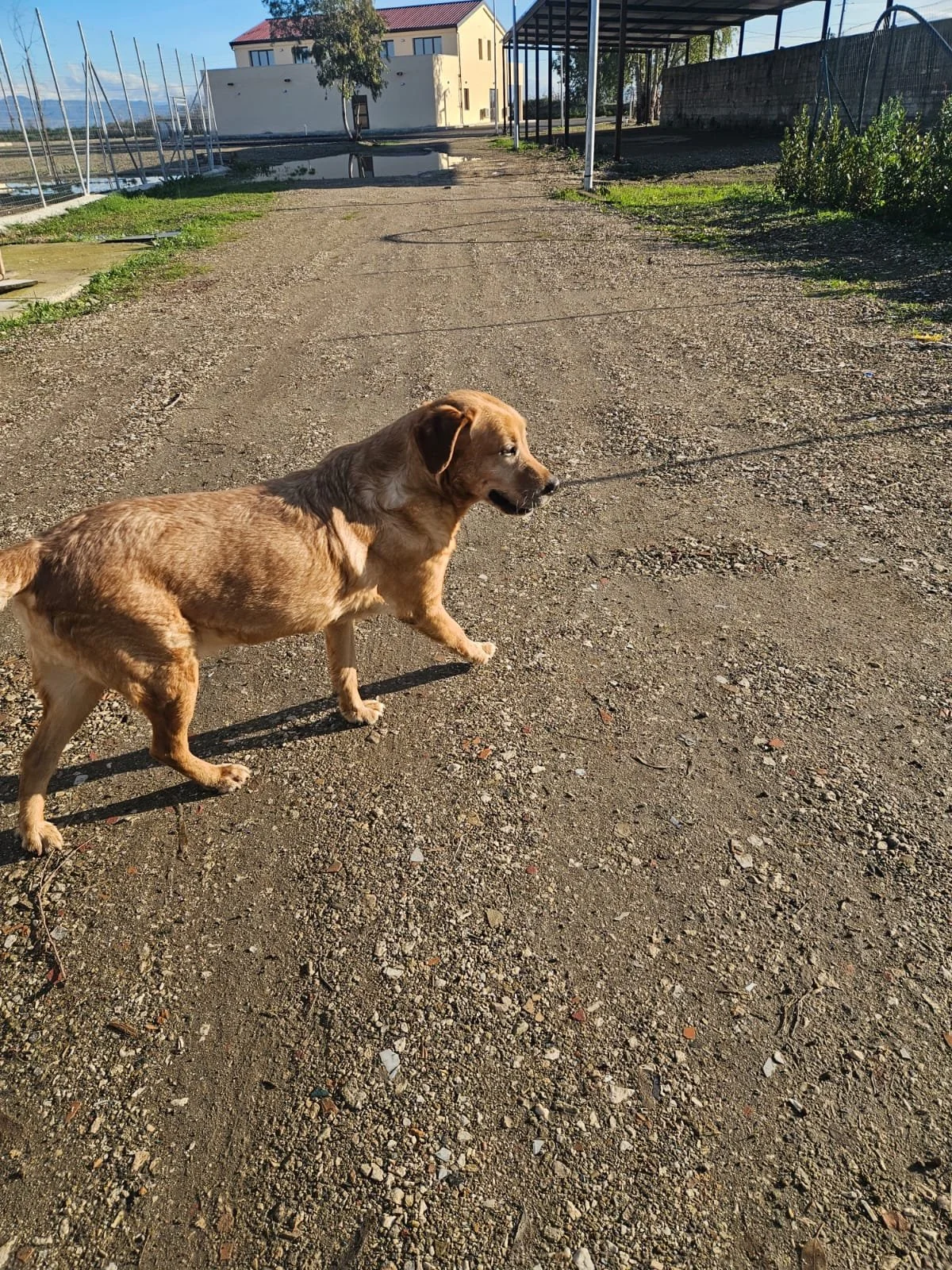 PHOTO-2026-02-03-11-53-50 6.jpg