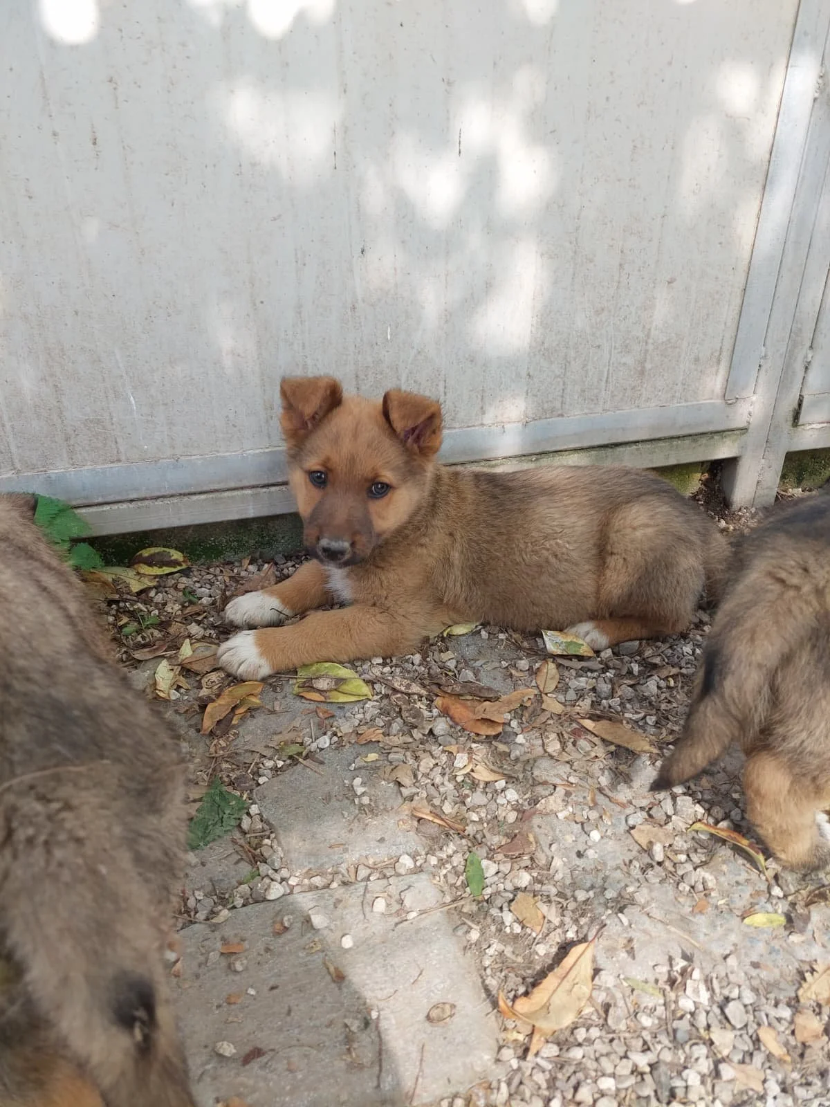 PHOTO-2026-03-11-14-16-01 3.jpg