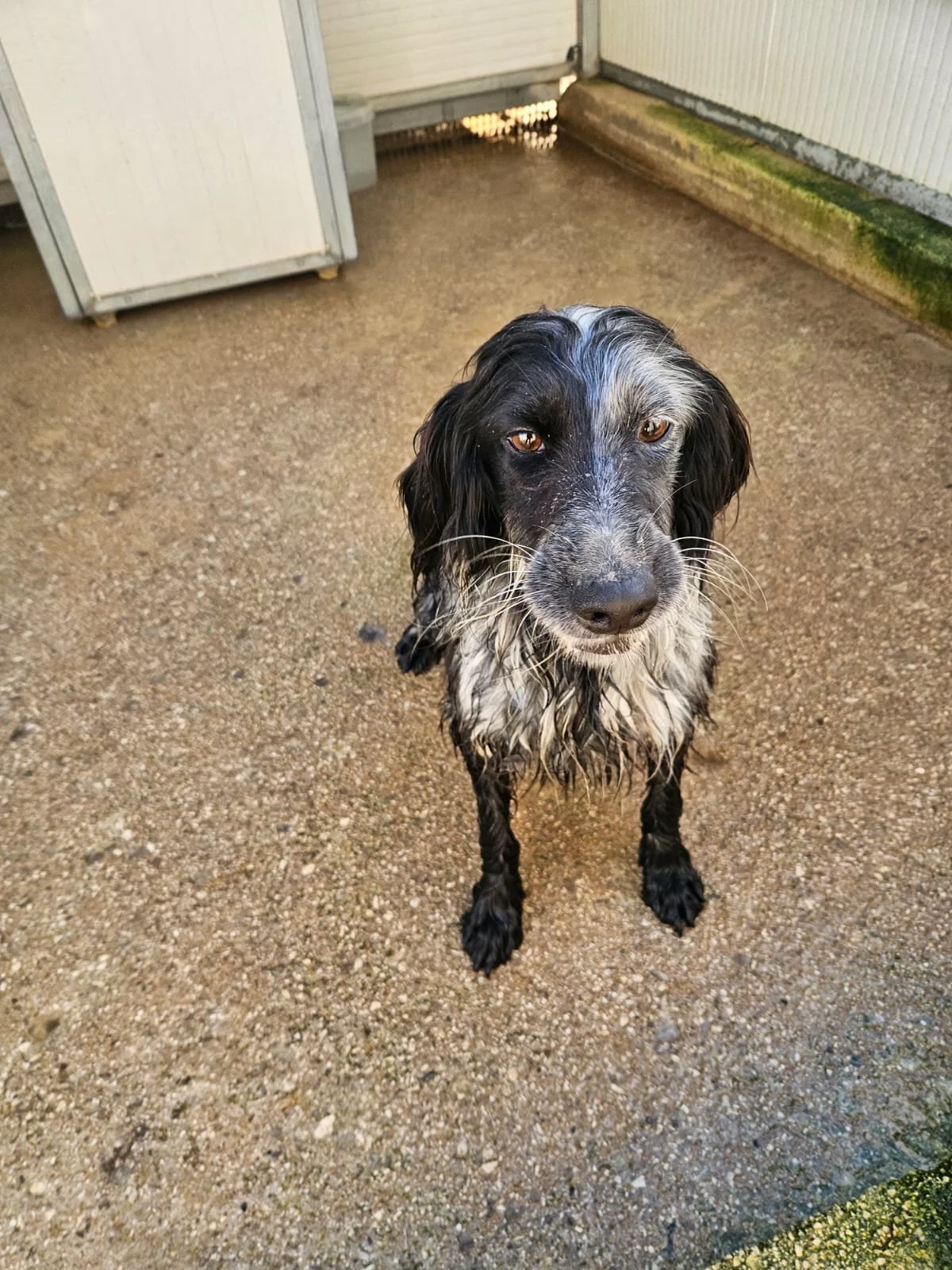 PHOTO-2026-02-03-11-34-14 2.jpg