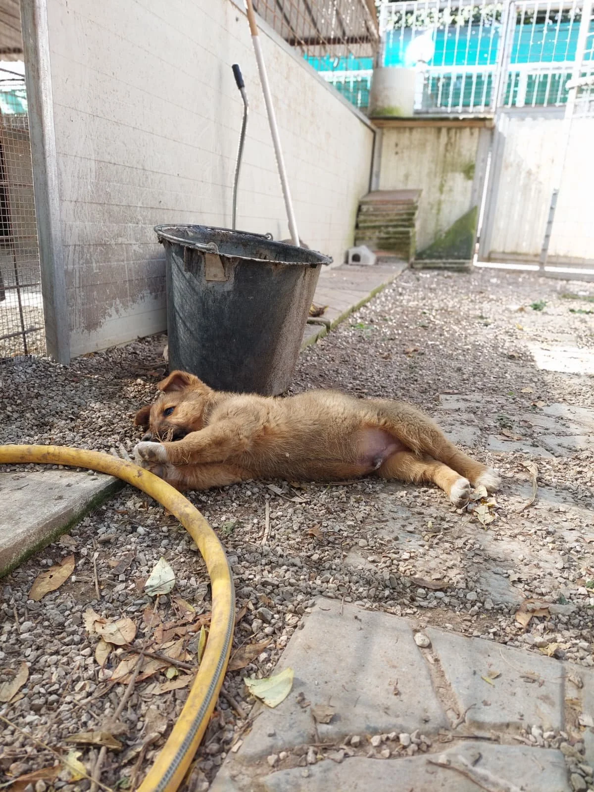 PHOTO-2026-03-11-14-16-01 5.jpg