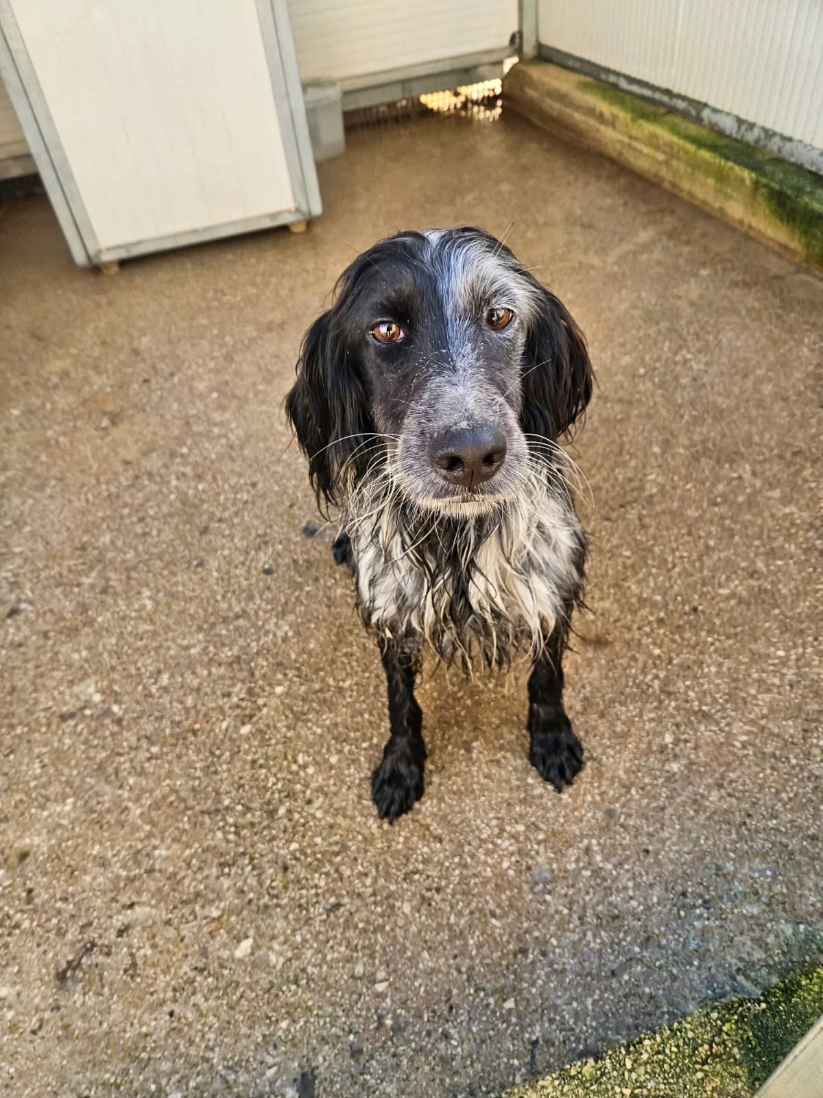 PHOTO-2026-02-03-11-34-04 2.jpg