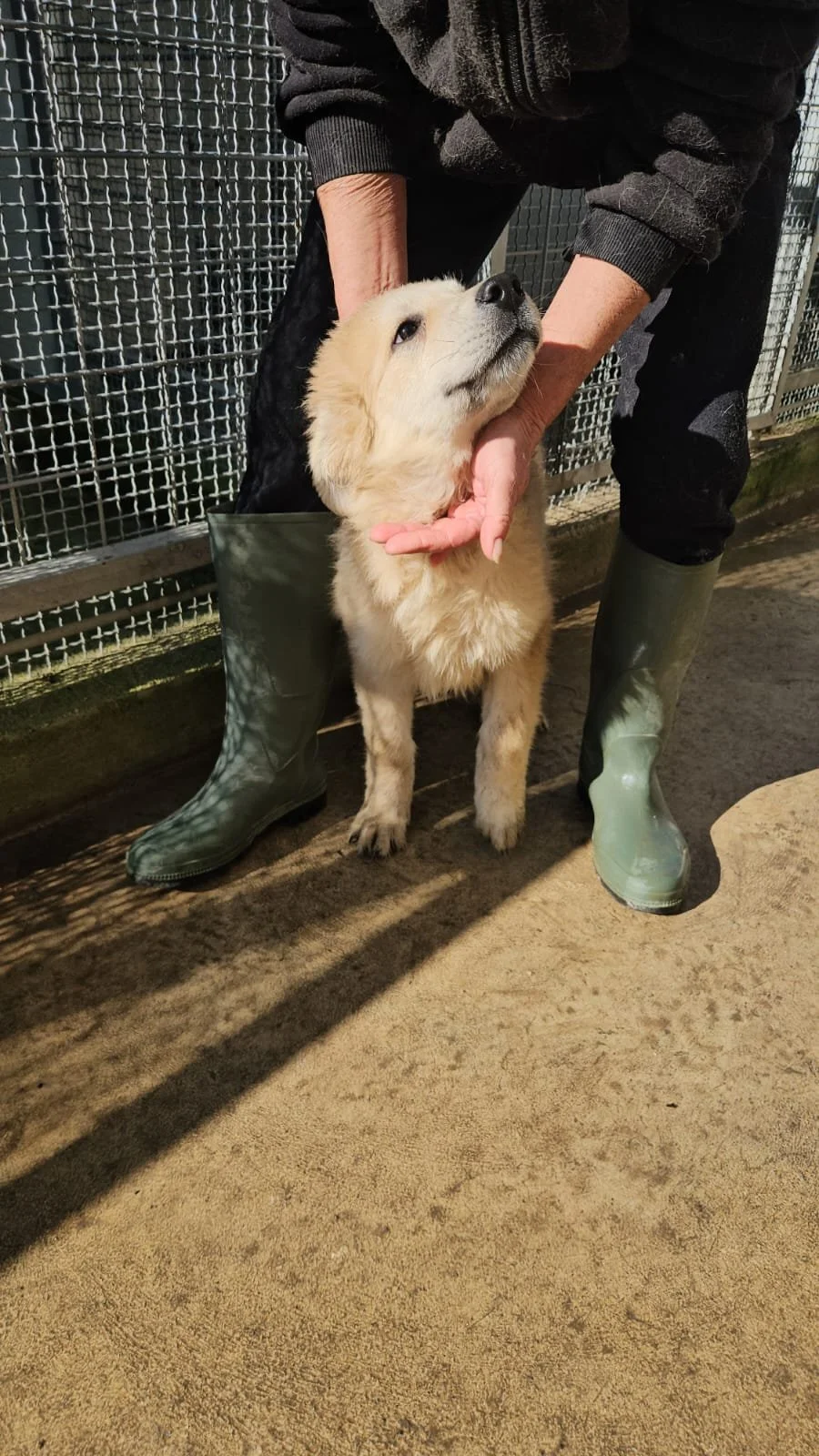 PHOTO-2026-02-02-12-38-48 2.jpg