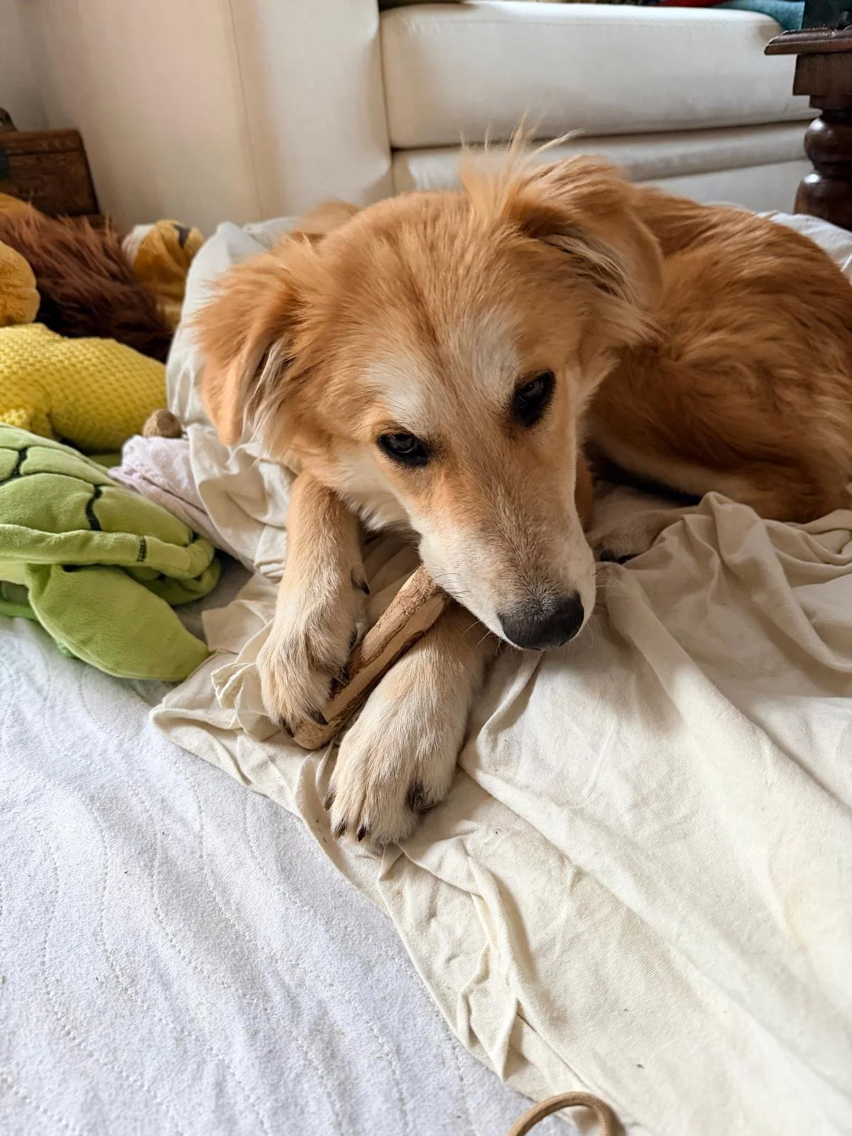 WhatsApp Image 2026-04-11 at 15.19.25.jpeg