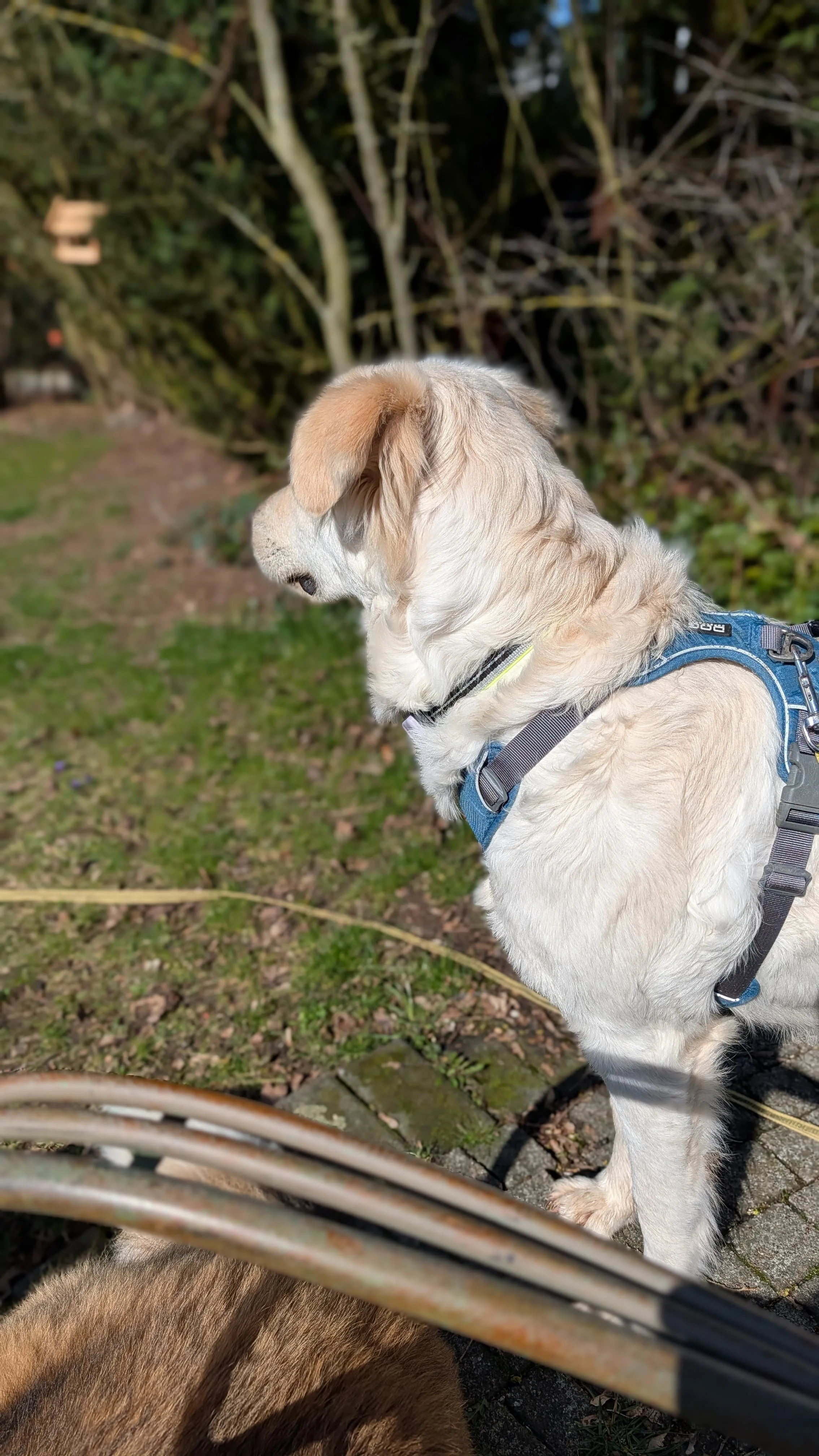 WhatsApp Image 2026-04-08 at 14.38.14 (2).jpeg