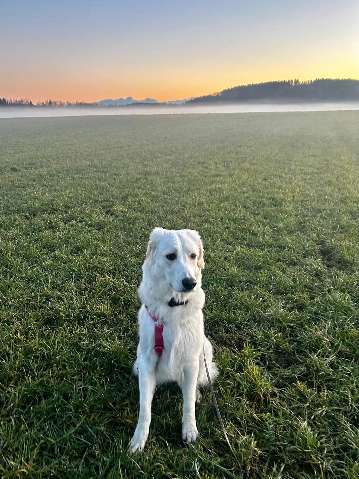 PHOTO-2025-12-15-11-44-24 5.jpg