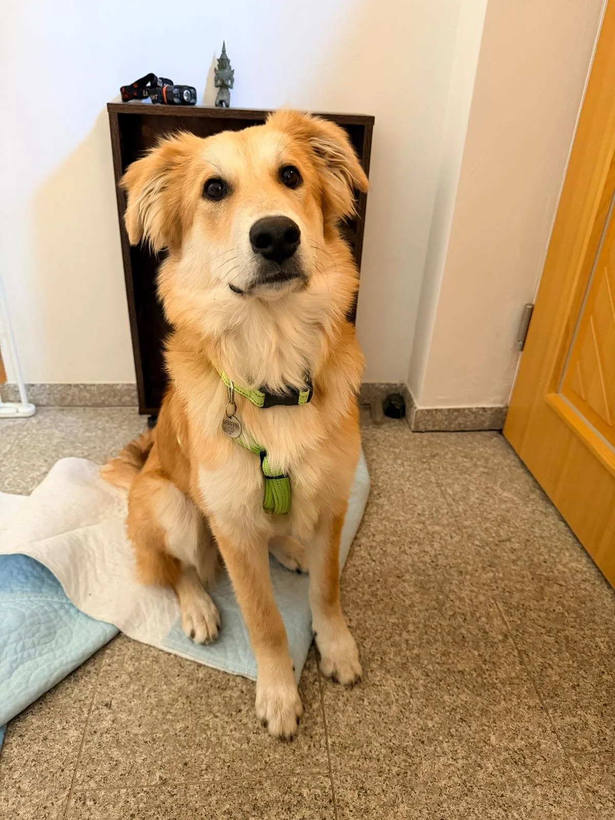 WhatsApp Image 2026-04-11 at 15.19.19.jpeg