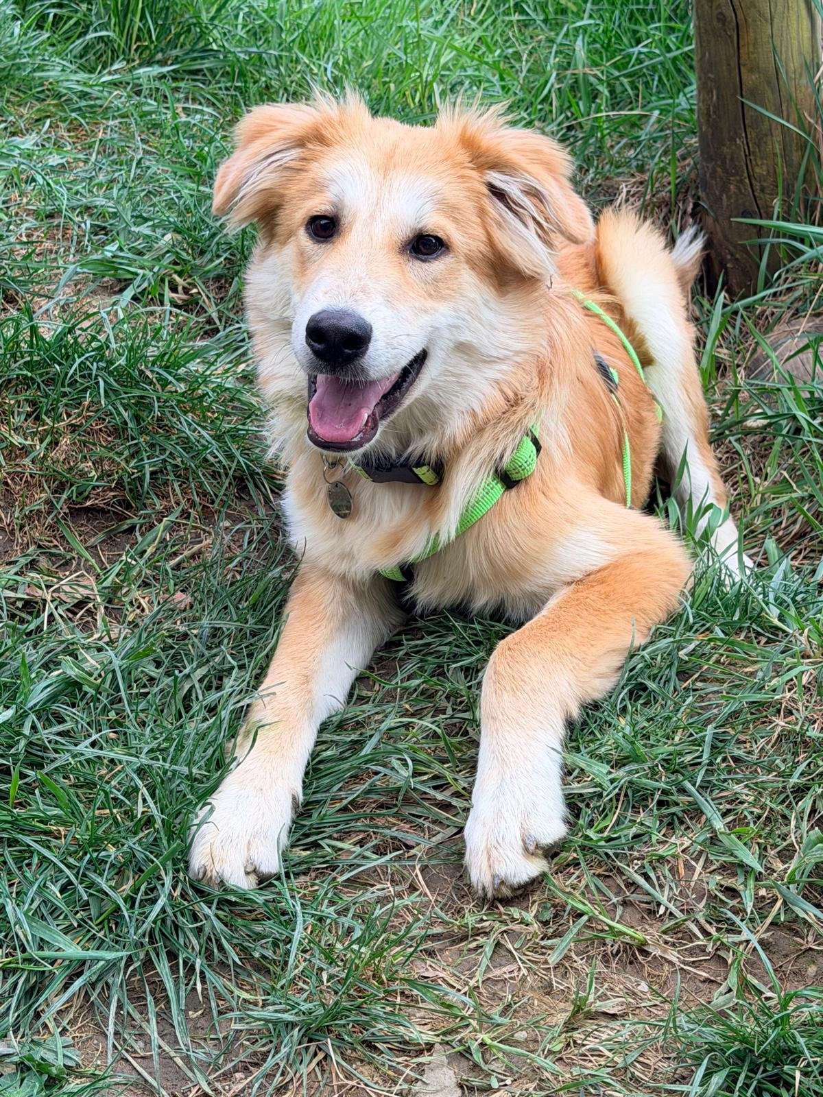 WhatsApp Image 2026-04-11 at 15.19.25 (1).jpeg