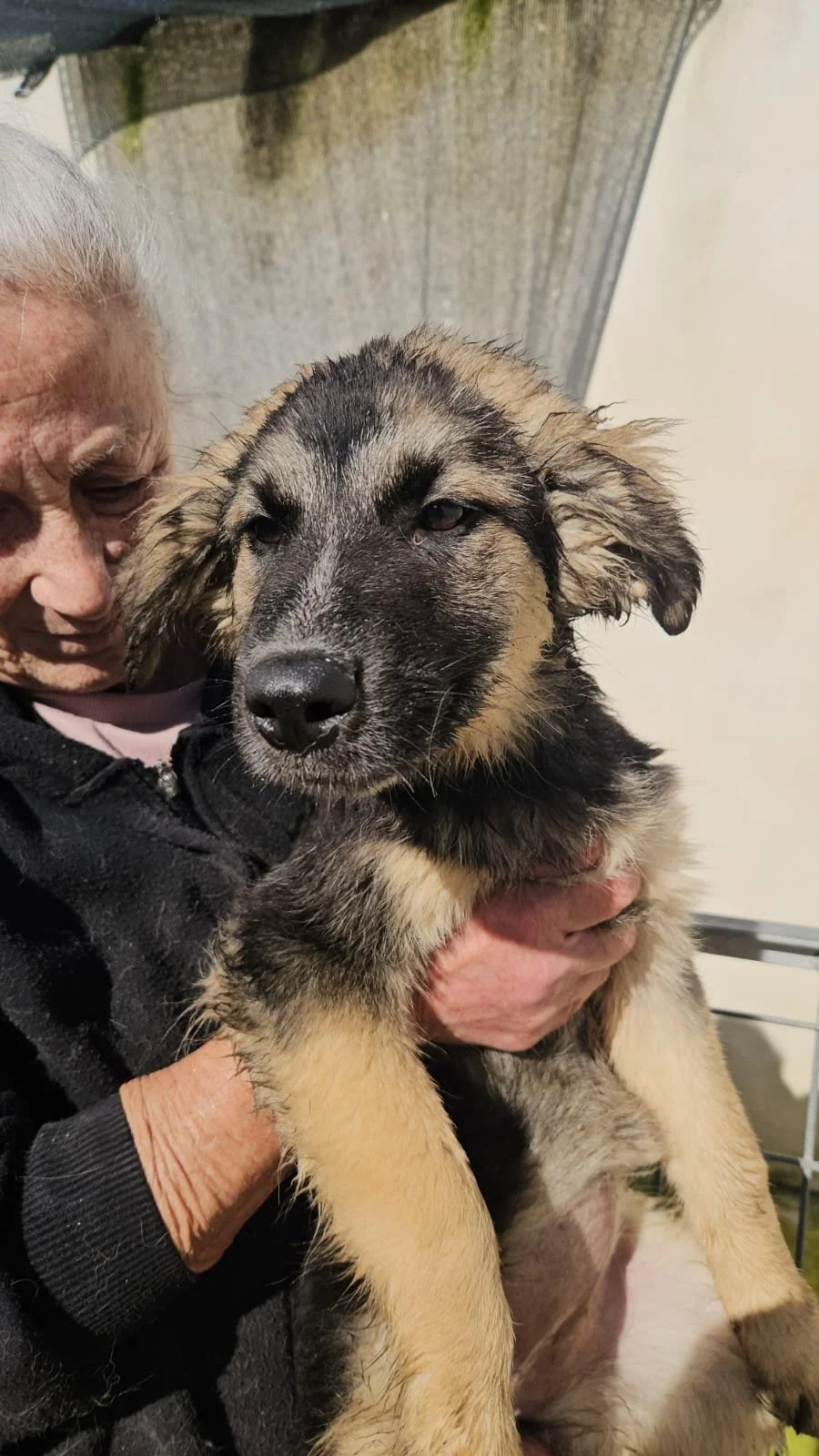 PHOTO-2026-02-02-12-37-51 4.jpg