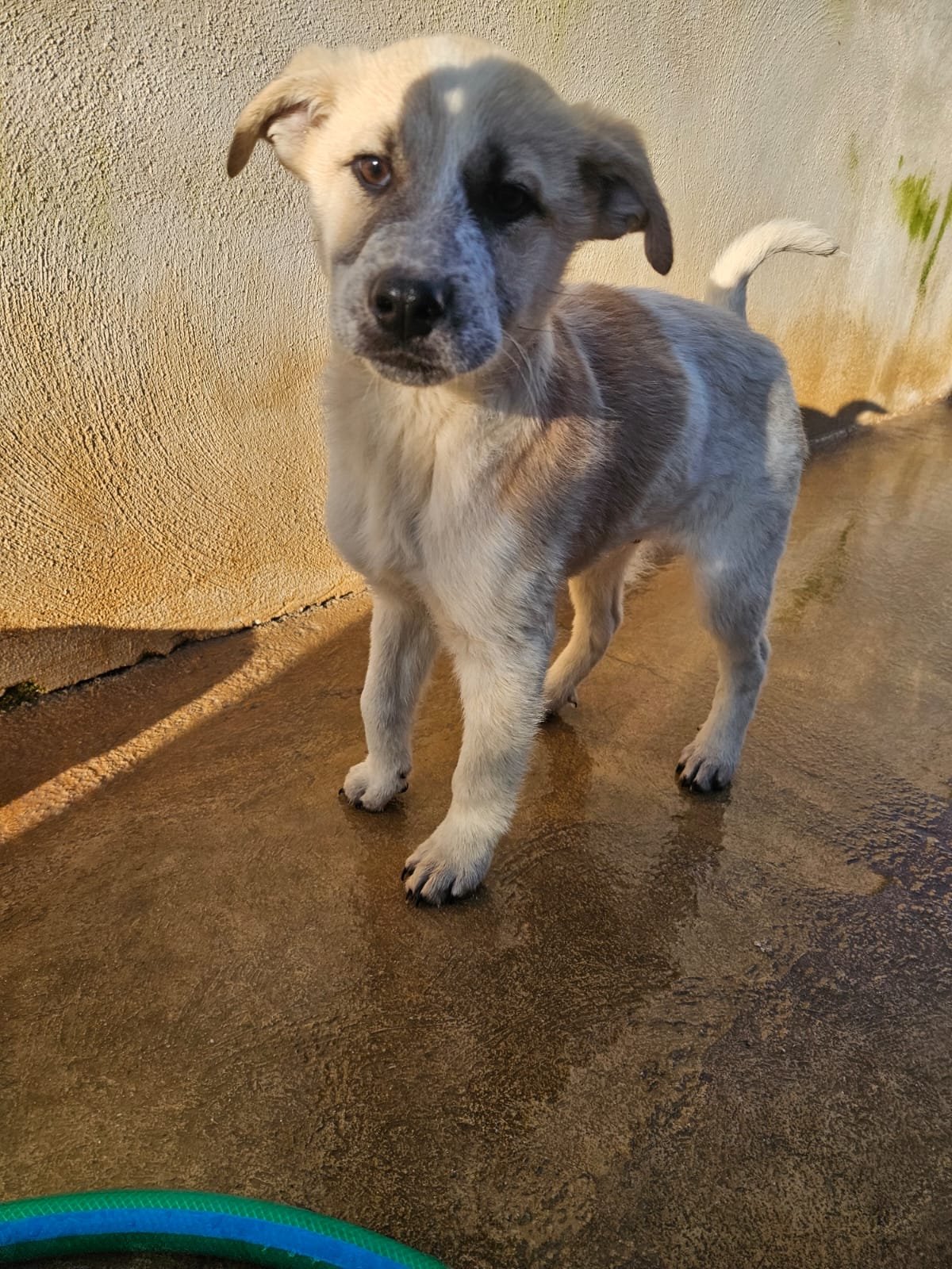 PHOTO-2026-02-02-08-56-48 2.jpg