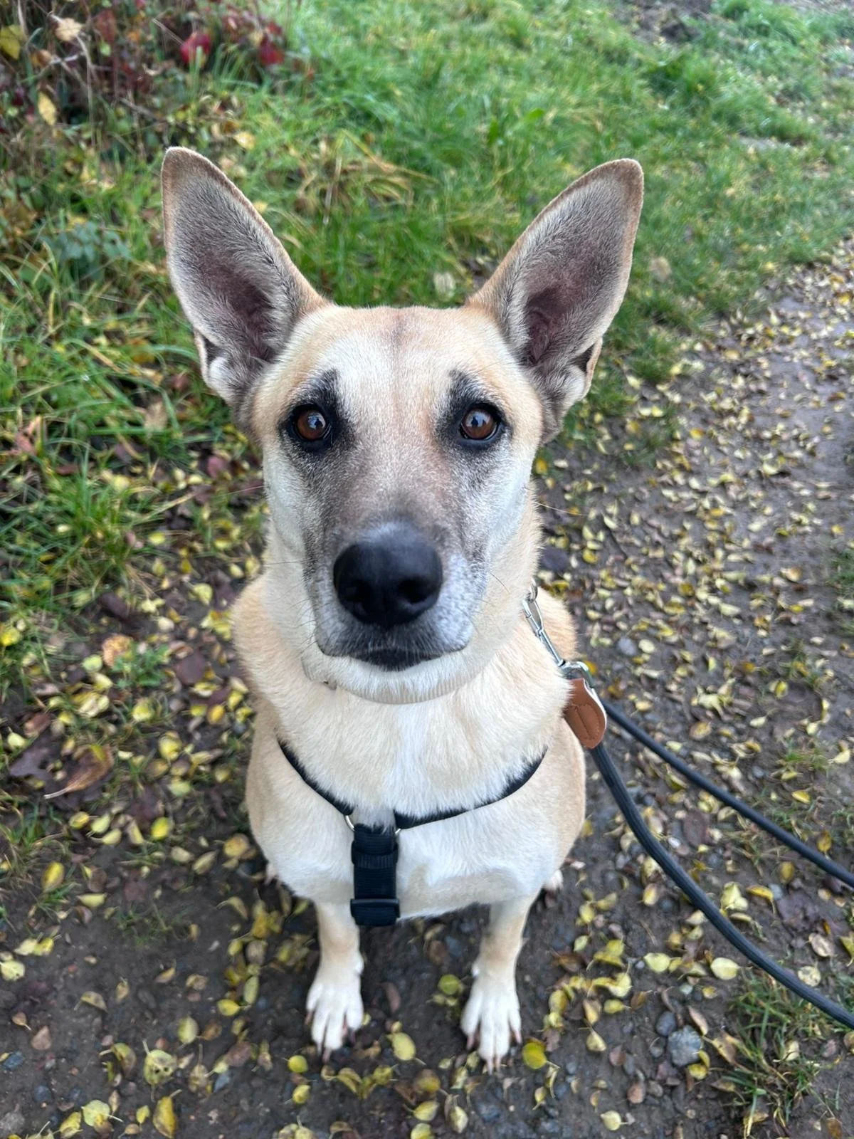 WhatsApp Image 2025-11-10 at 23.48.53.jpeg