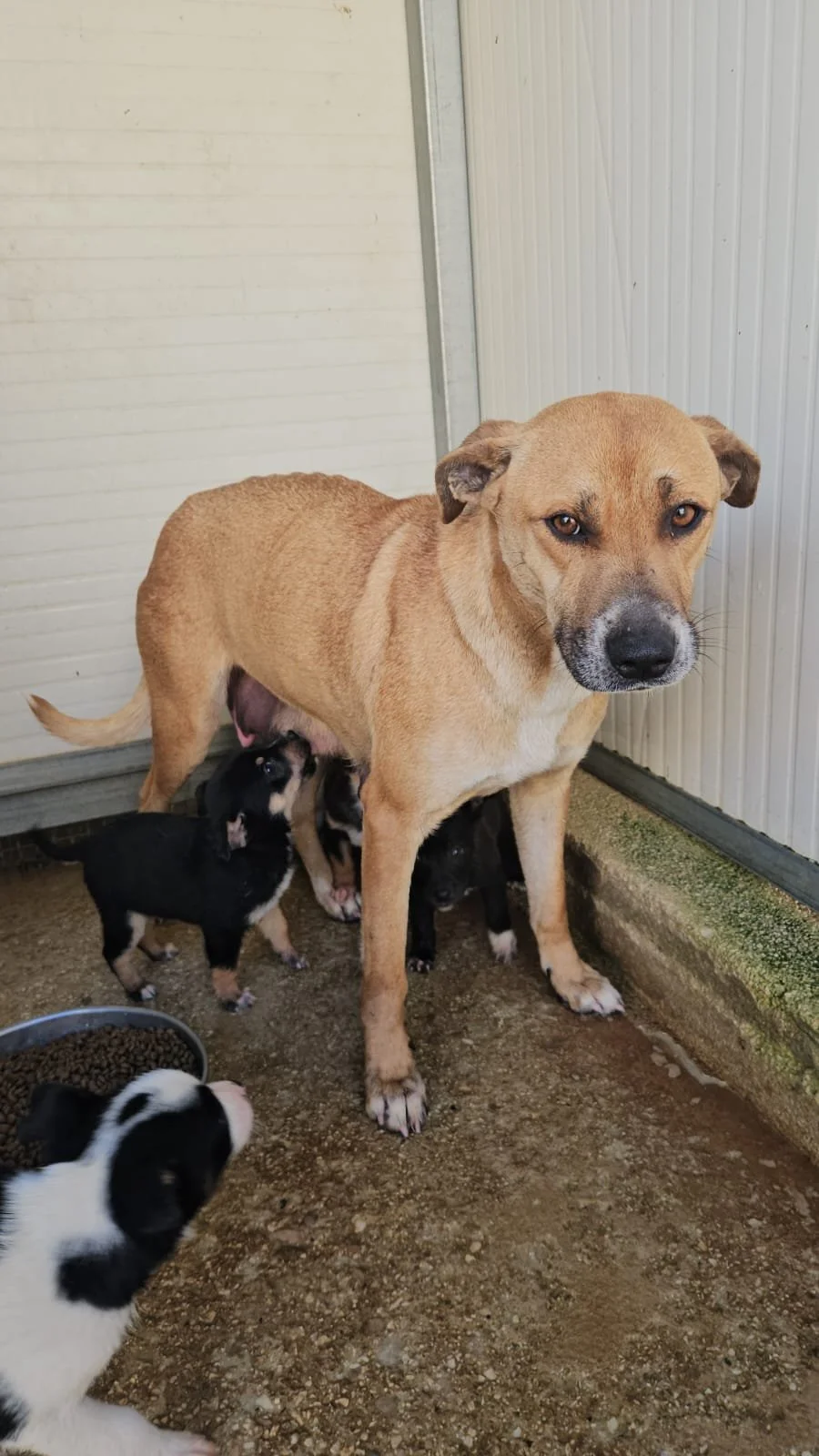 e244d174-1cdd-4705-bbff-b777a9c81864.jpg (Kopie) (Kopie)