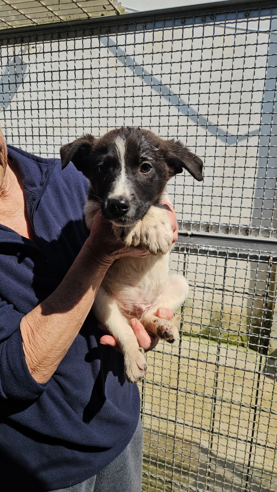 PHOTO-2026-03-20-12-47-36 2.jpg