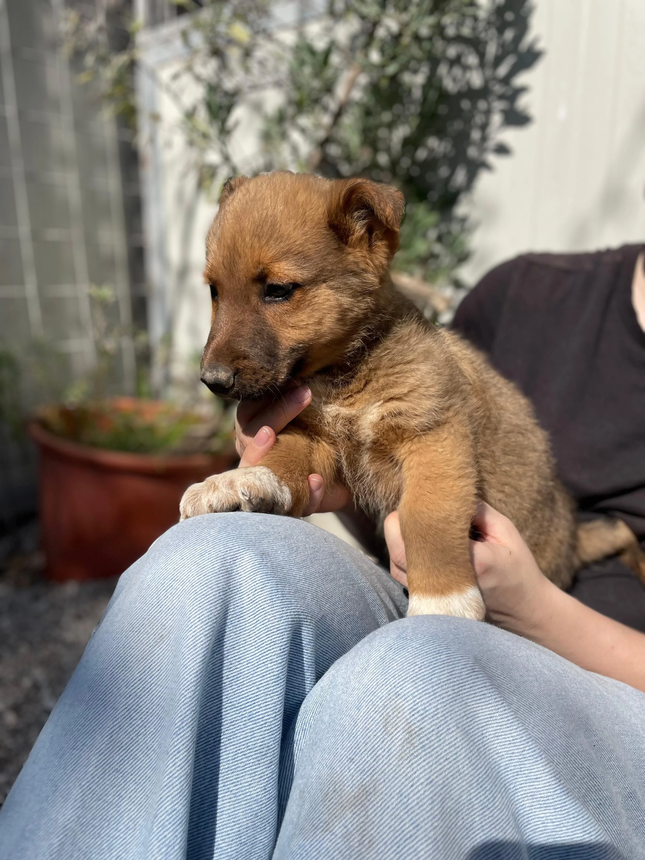 PHOTO-2026-03-11-14-15-58 2.jpg