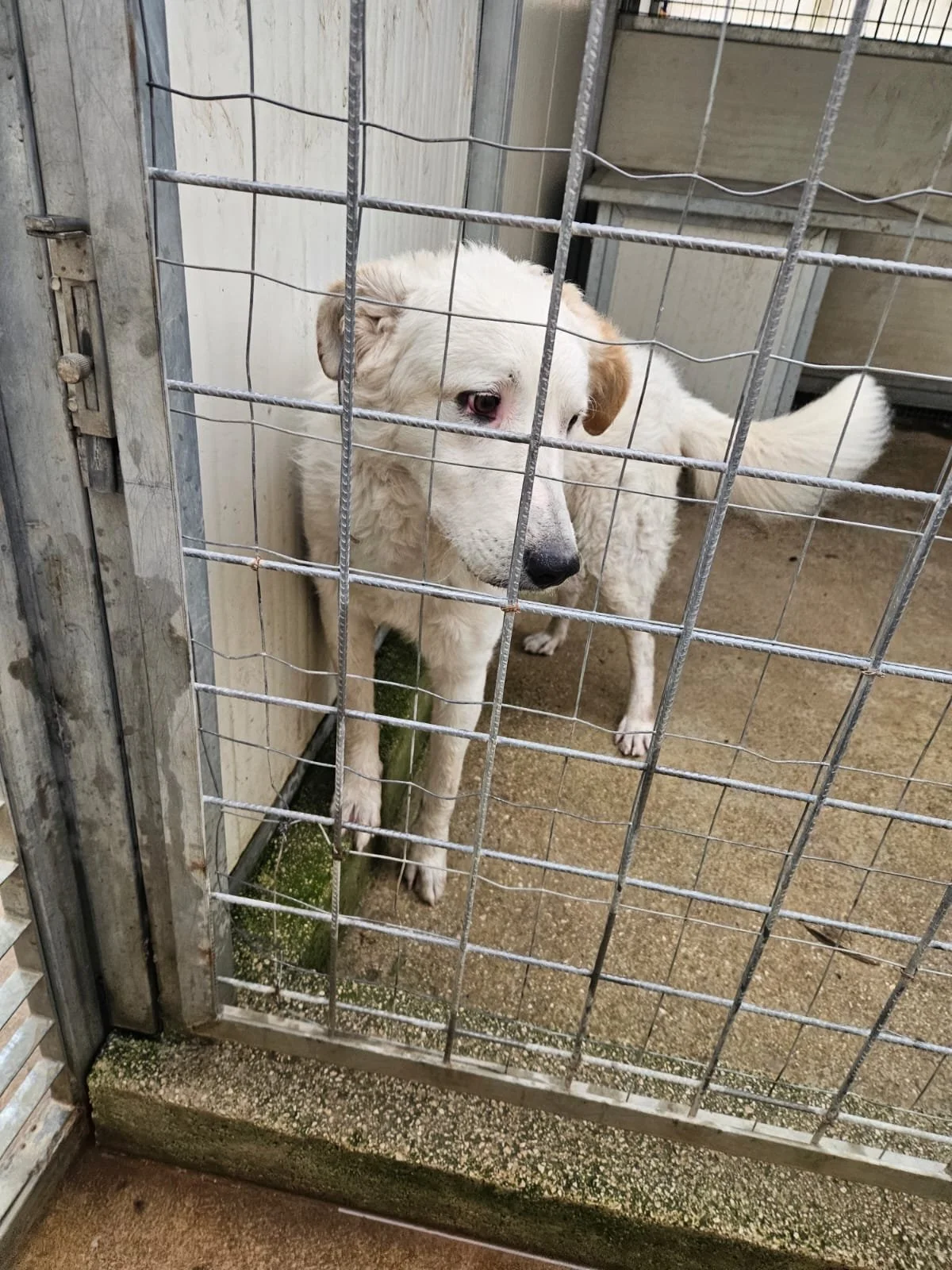 PHOTO-2026-01-07-15-24-14 5.jpg