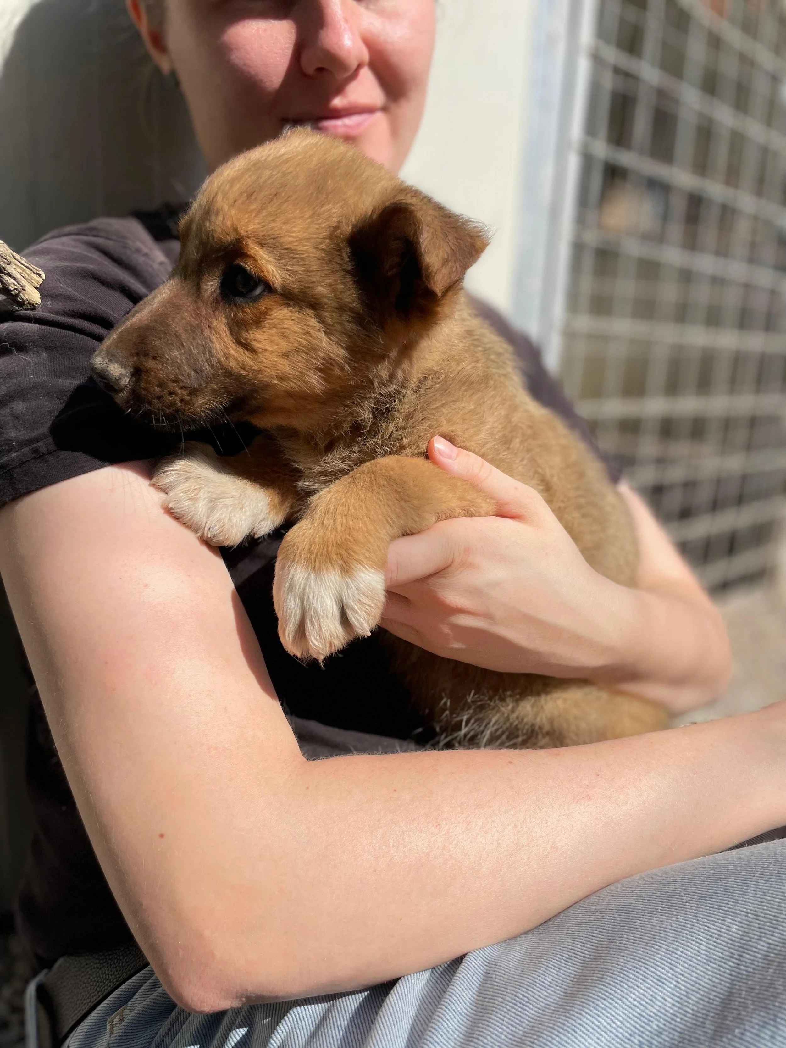 PHOTO-2026-03-11-14-15-59 3.jpg