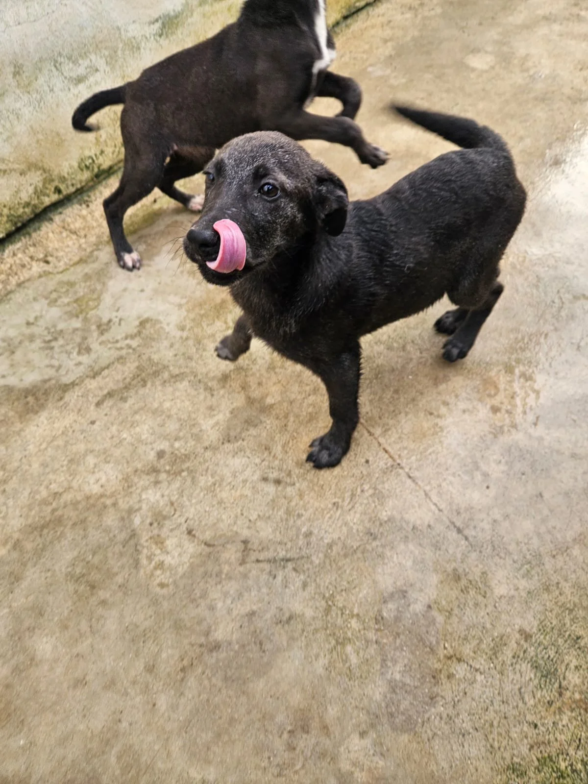 PHOTO-2026-04-09-09-31-22 2.jpg