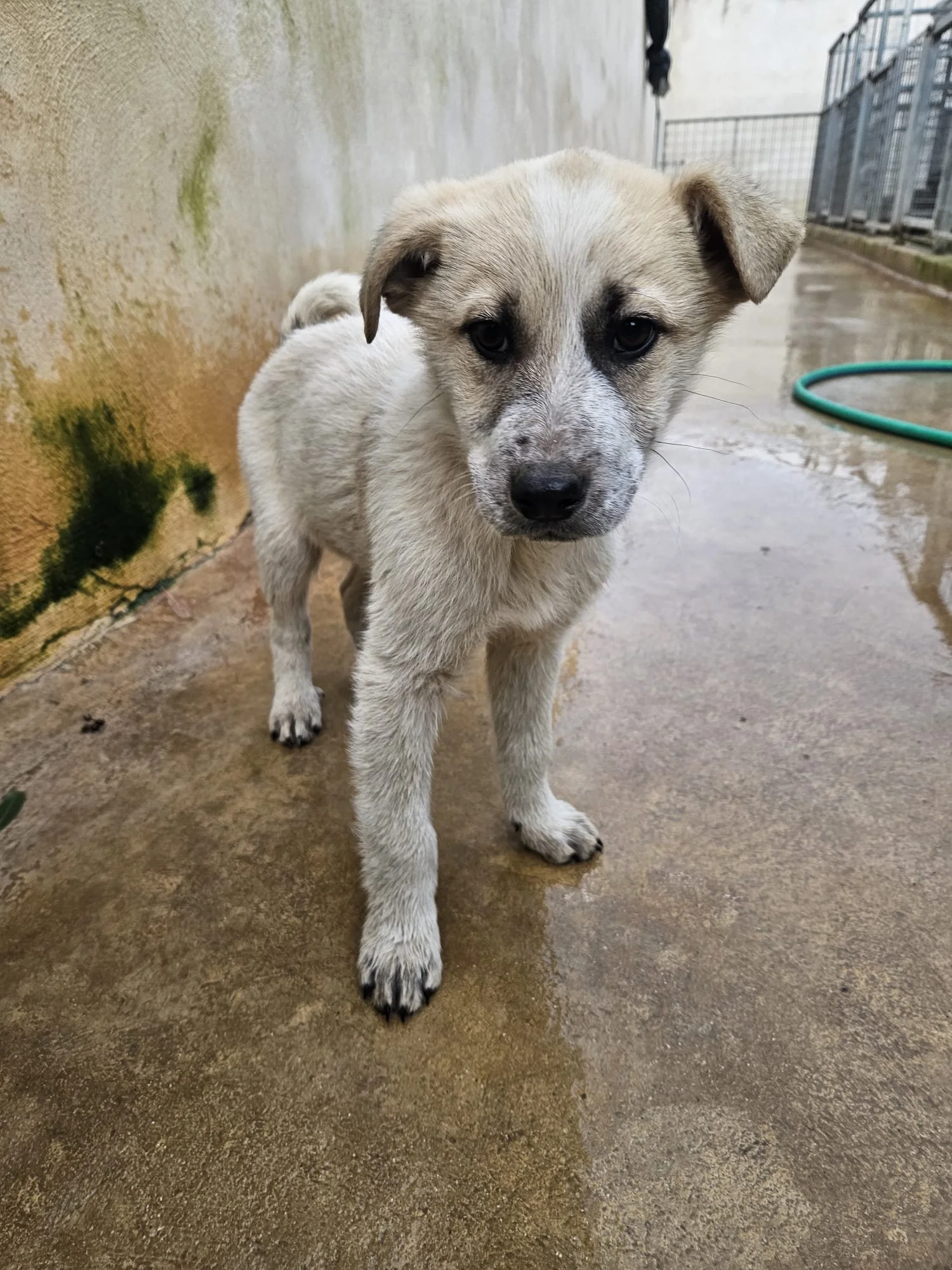 PHOTO-2026-01-20-09-40-35 4.jpg