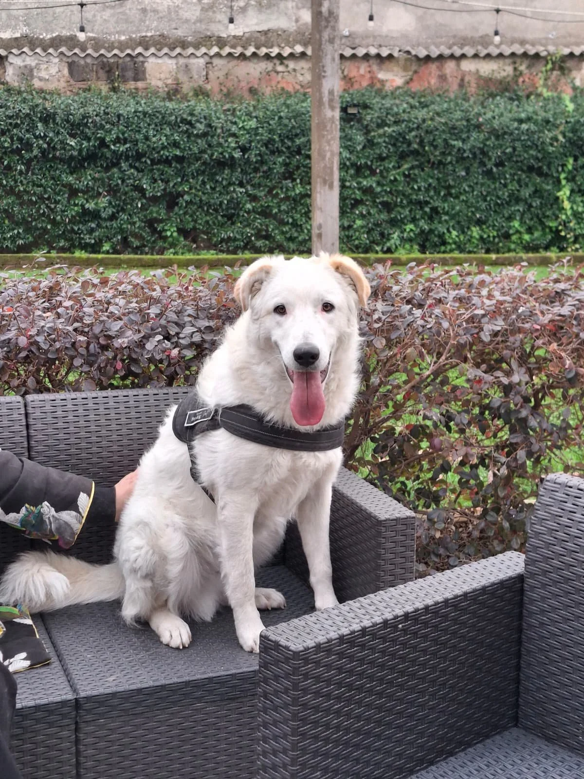 PHOTO-2026-01-07-15-24-11 8.jpg