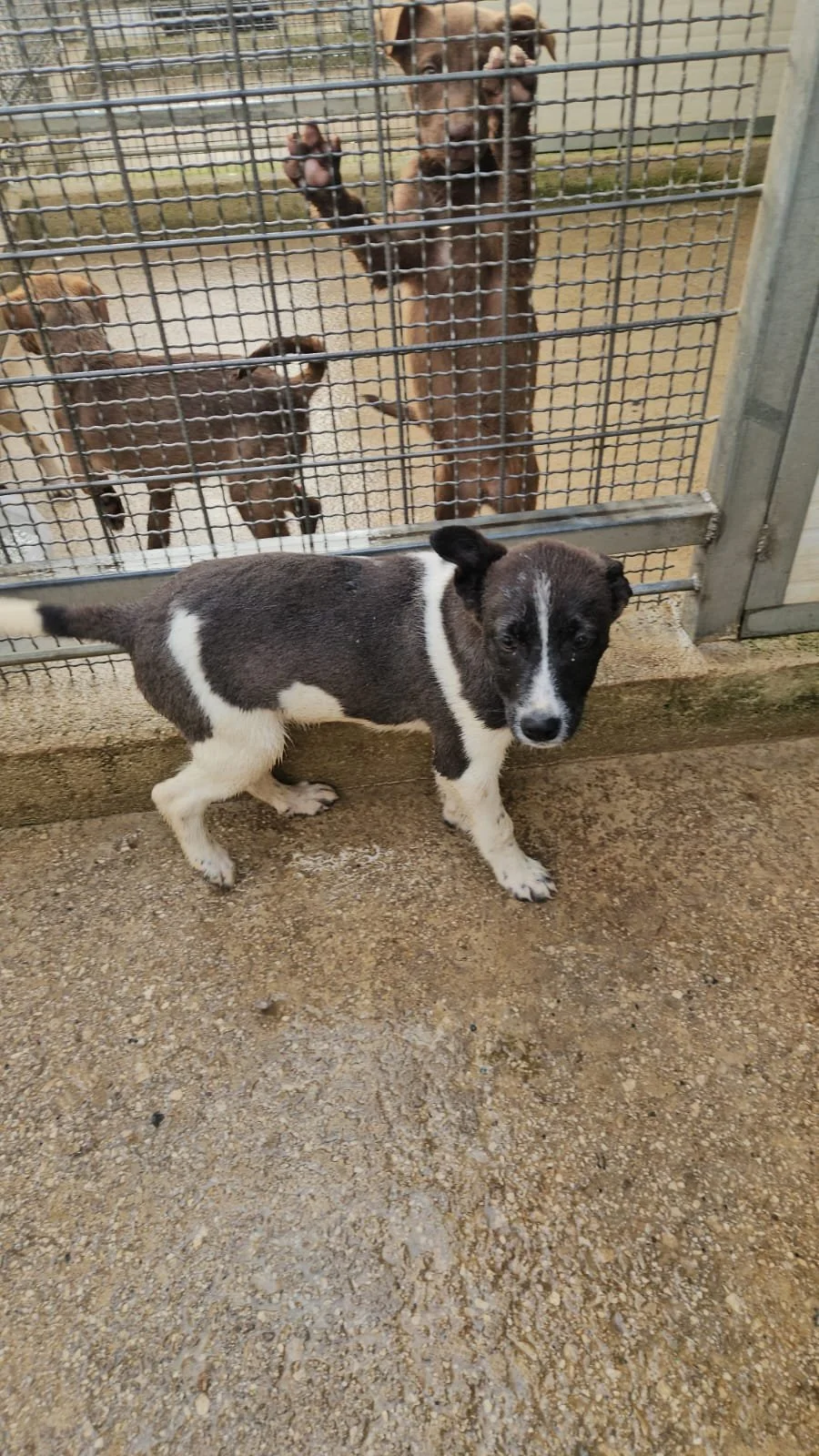 PHOTO-2026-04-09-09-34-31 3.jpg