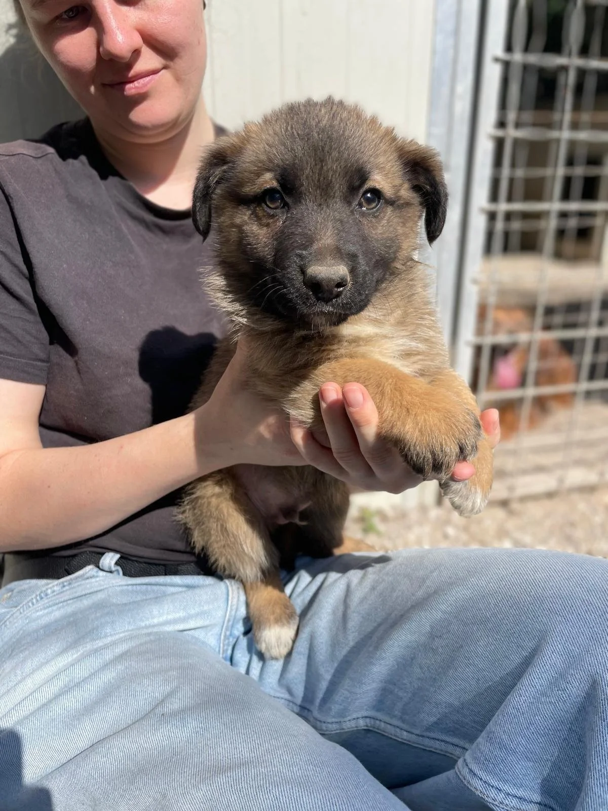 PHOTO-2026-03-11-14-17-05 4.jpg