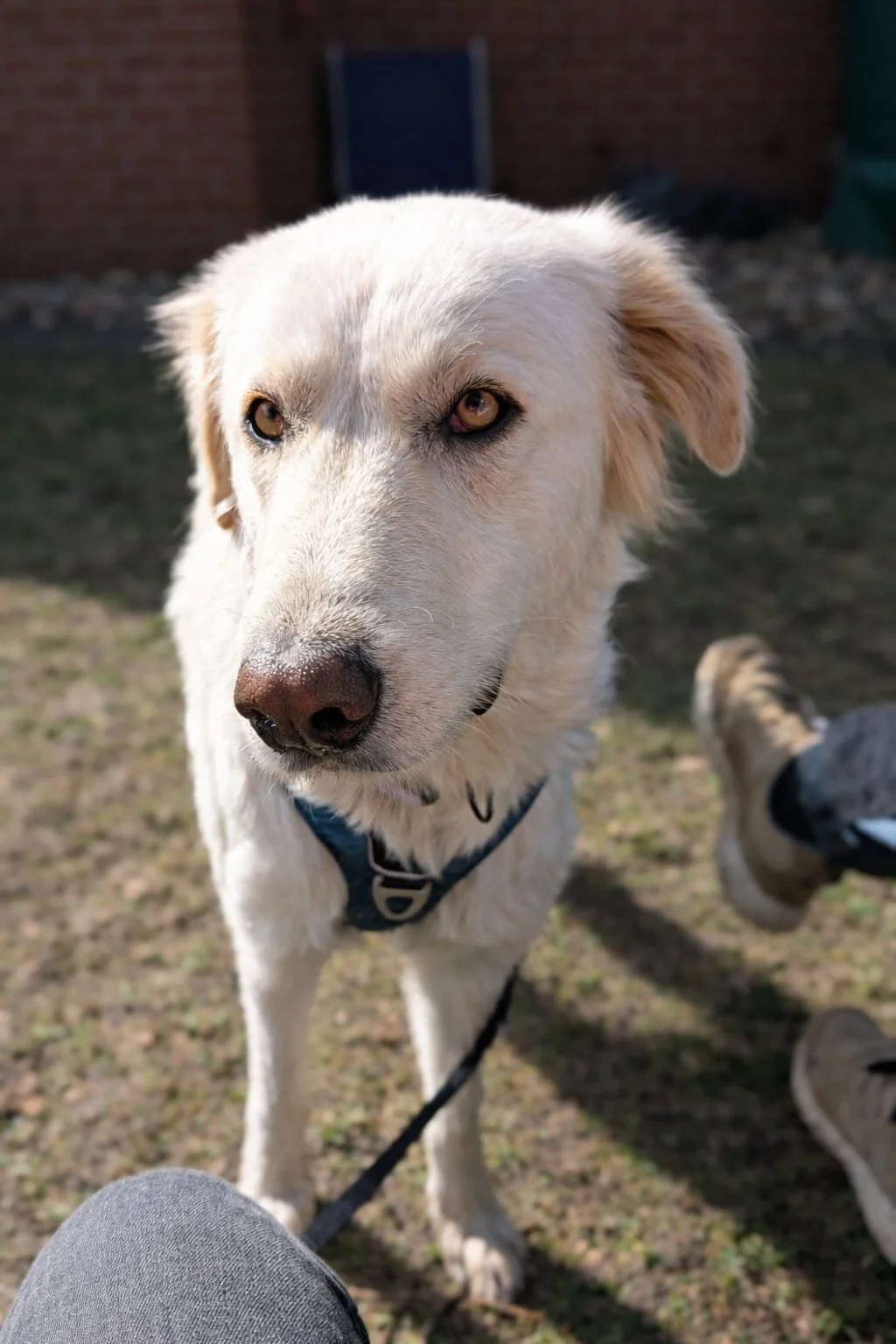 WhatsApp Image 2026-04-08 at 14.38.13.jpeg