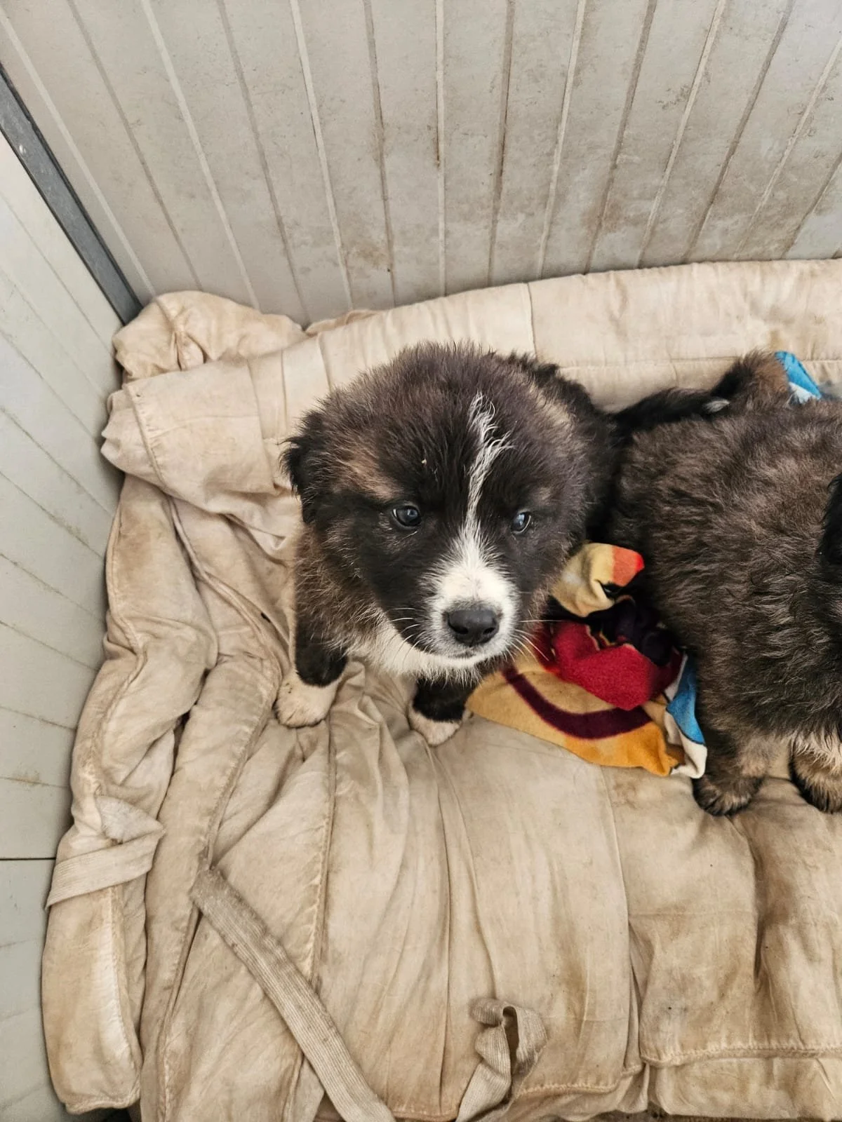 PHOTO-2025-12-10-12-24-10 3.jpg