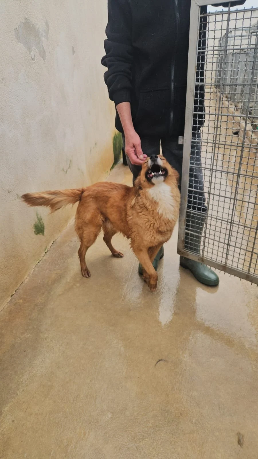 PHOTO-2026-04-14-08-29-16 3.jpg