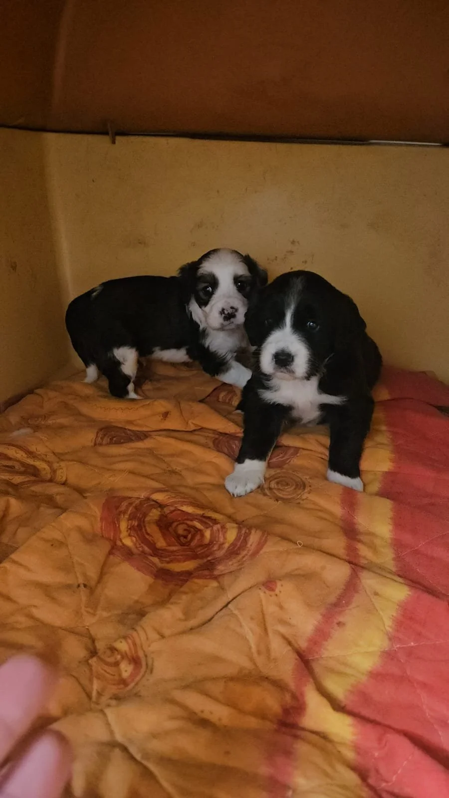 PHOTO-2026-04-27-20-54-27 2.jpg