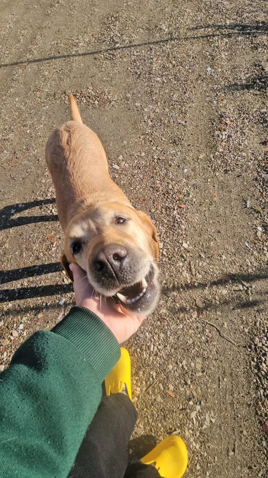 PHOTO-2026-02-03-11-53-49 4.jpg