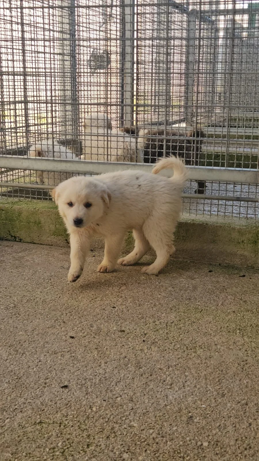 PHOTO-2025-12-10-12-30-12 3.jpg