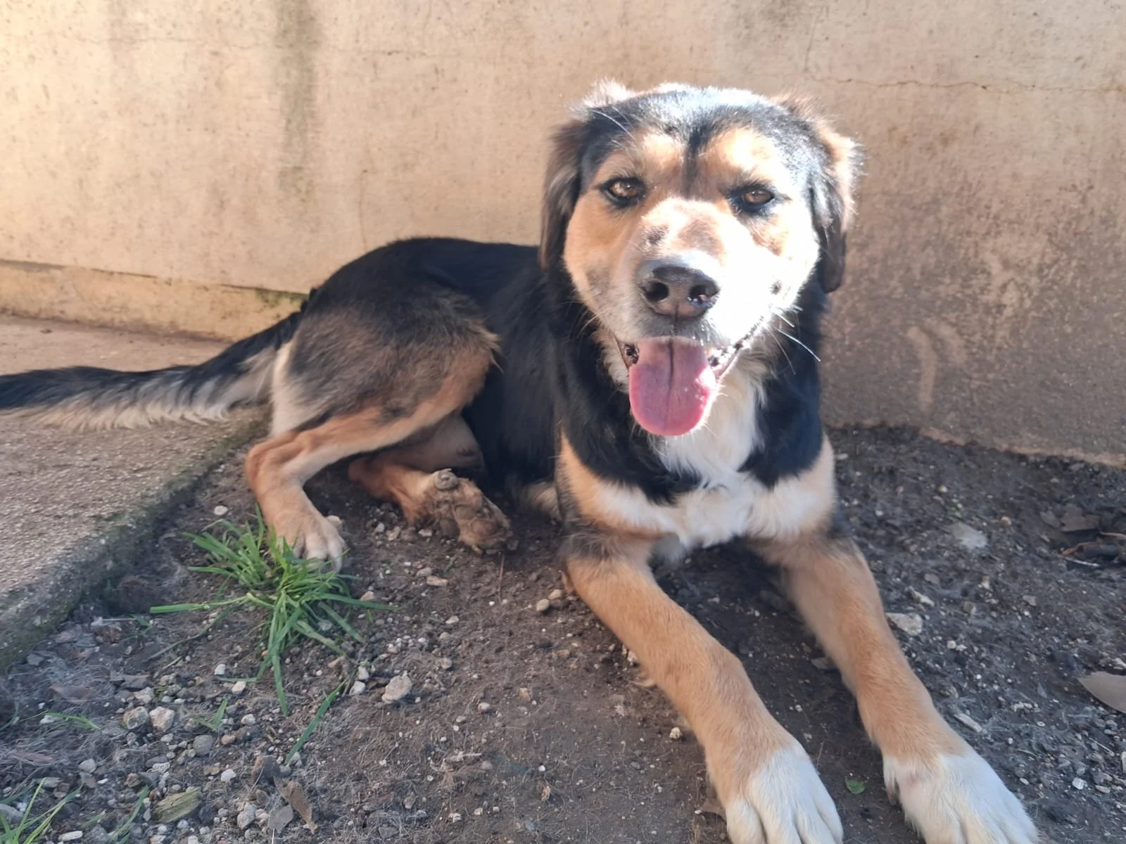 WhatsApp Image 2026-03-19 at 09.53.00.jpeg