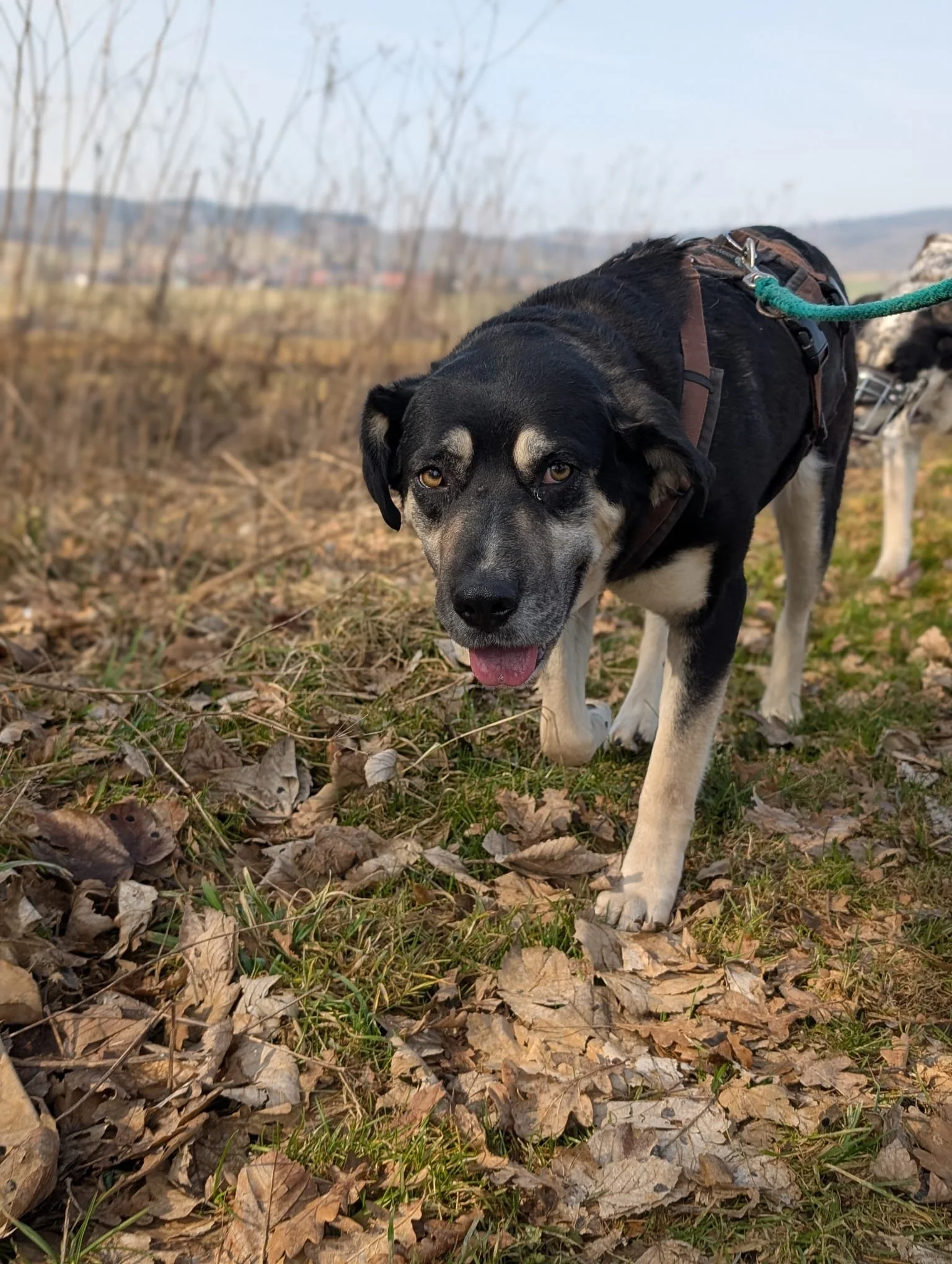 PHOTO-2026-04-14-09-44-12 3.jpg