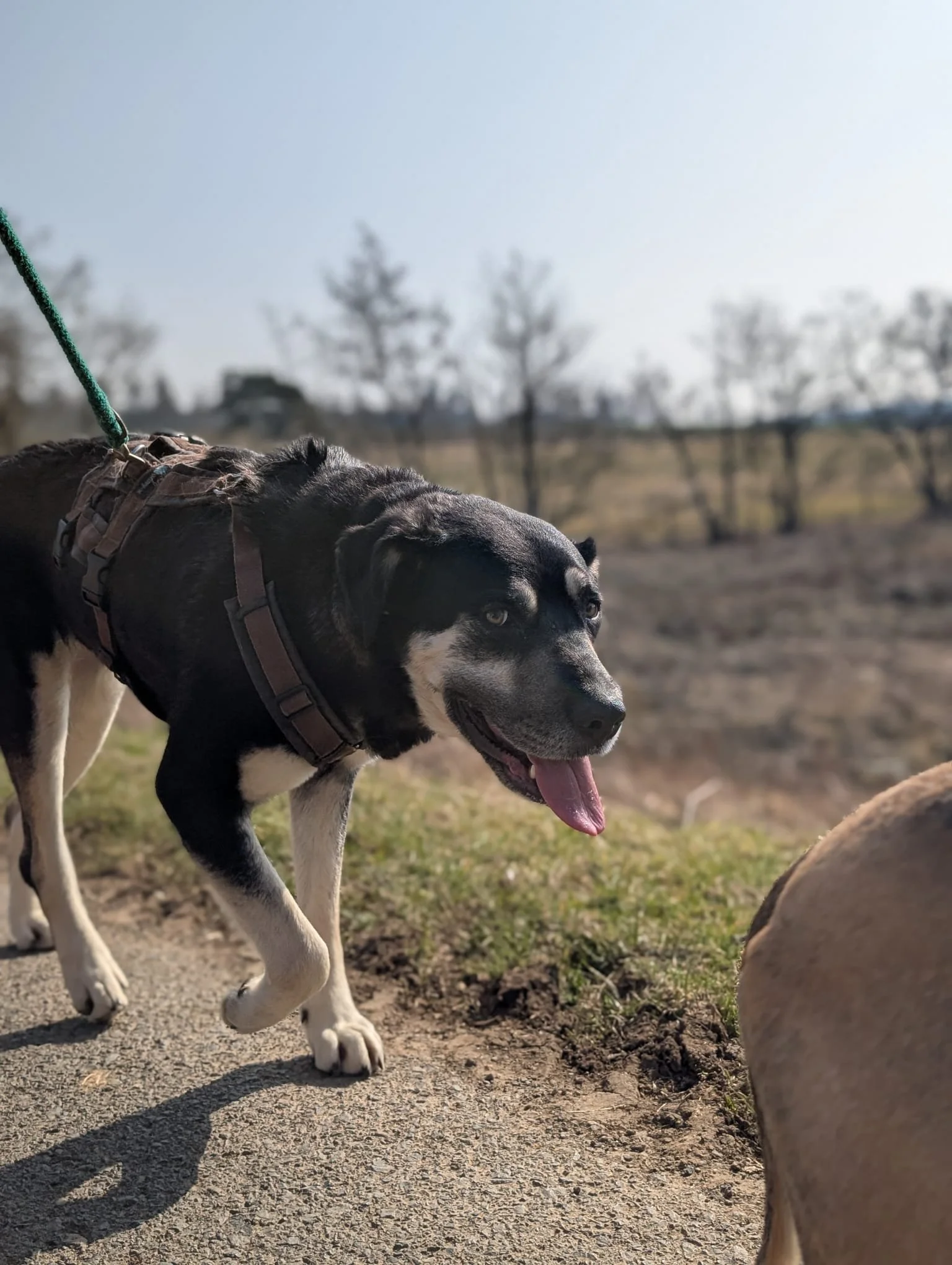 PHOTO-2026-04-14-09-43-47 2.jpg