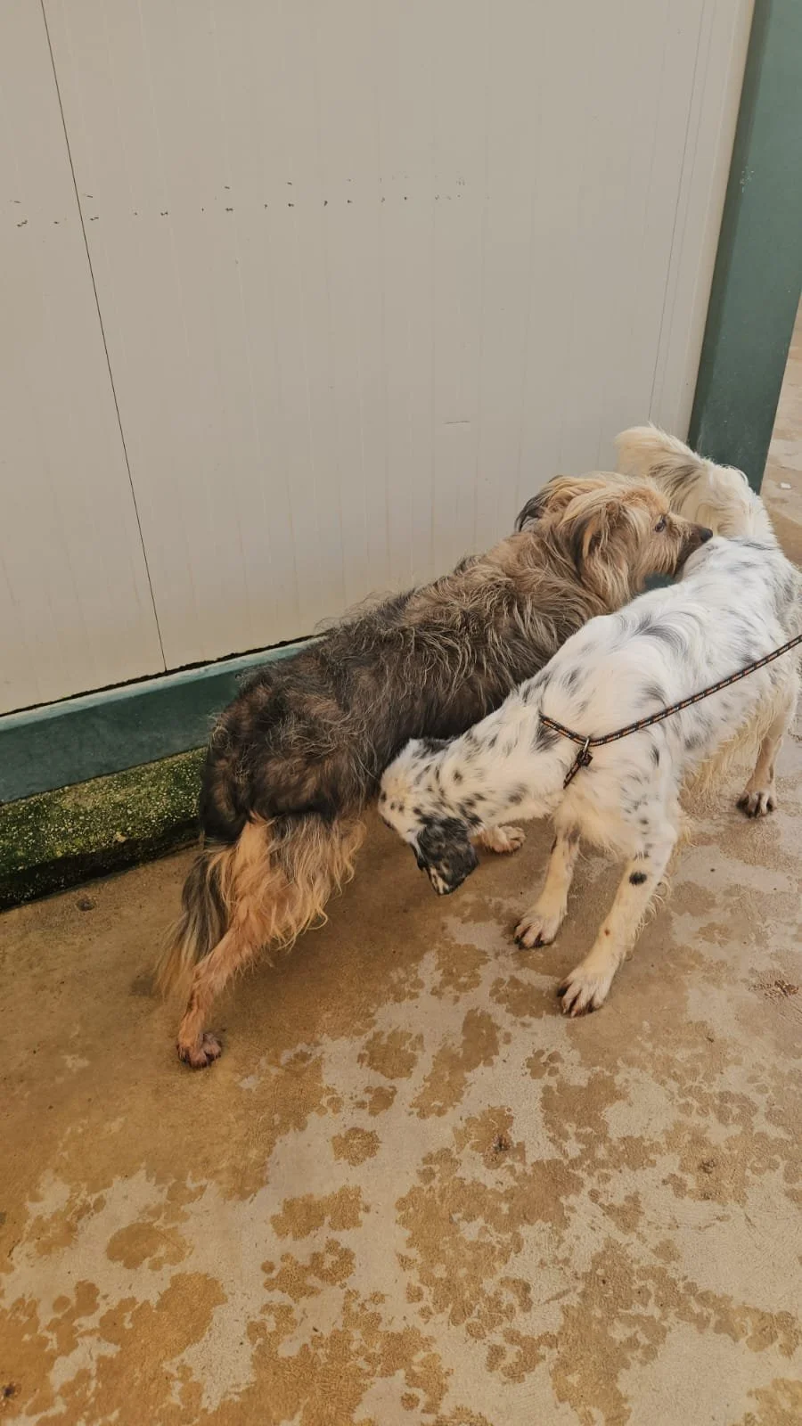 PHOTO-2025-12-15-14-01-20 11.jpg