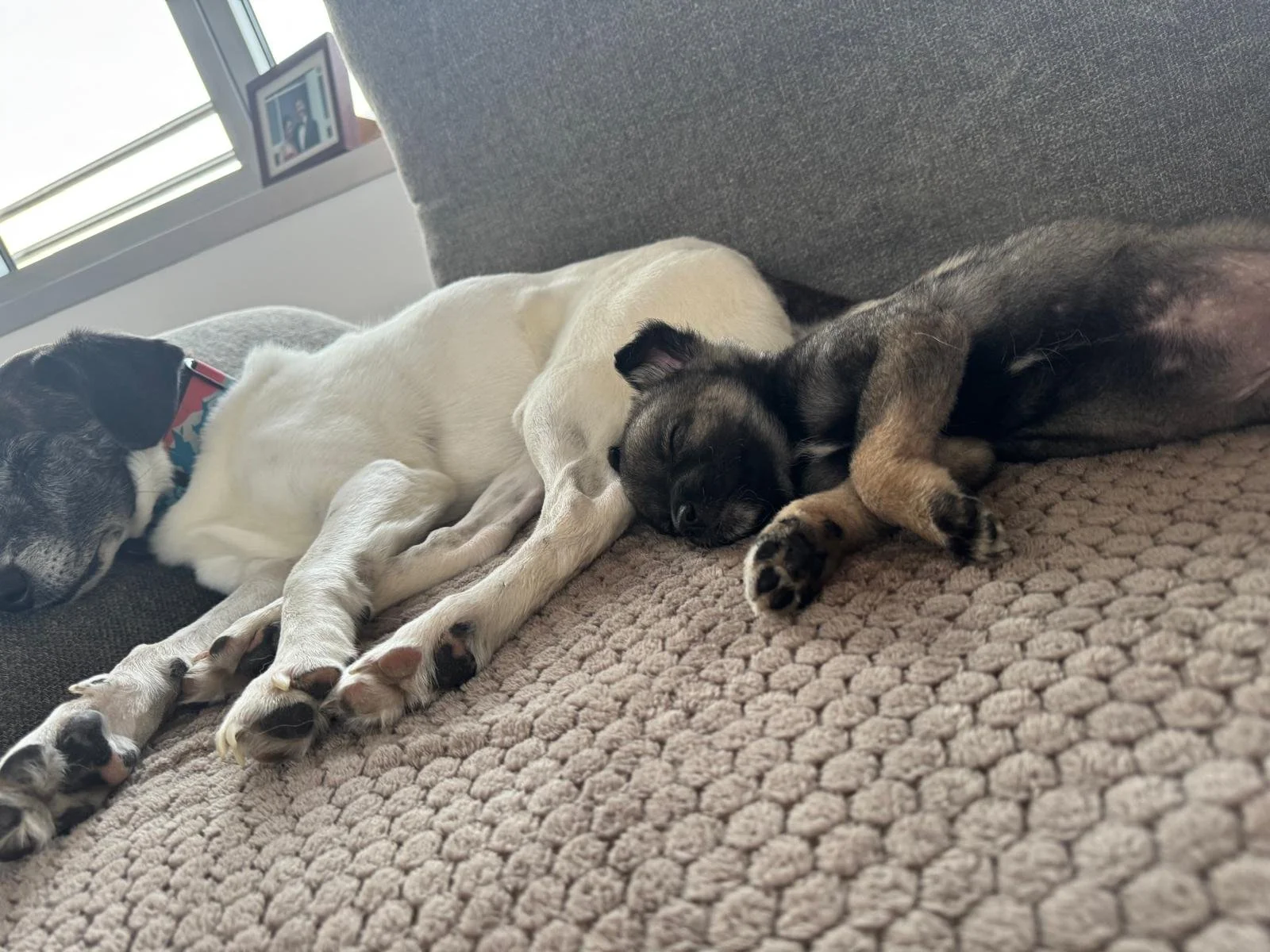 WhatsApp Image 2026-01-13 at 20.01.55 (1).jpeg