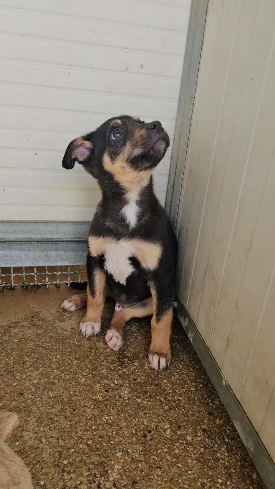 PHOTO-2026-03-21-10-22-19 2.jpg